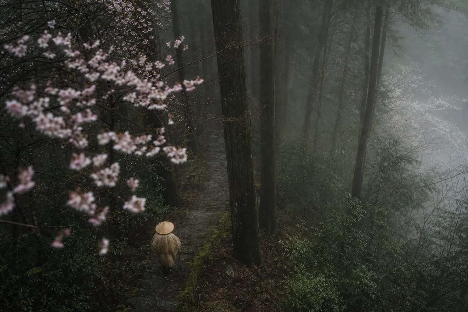Private Kumano Kodo: Exclusive Green Season Adventures