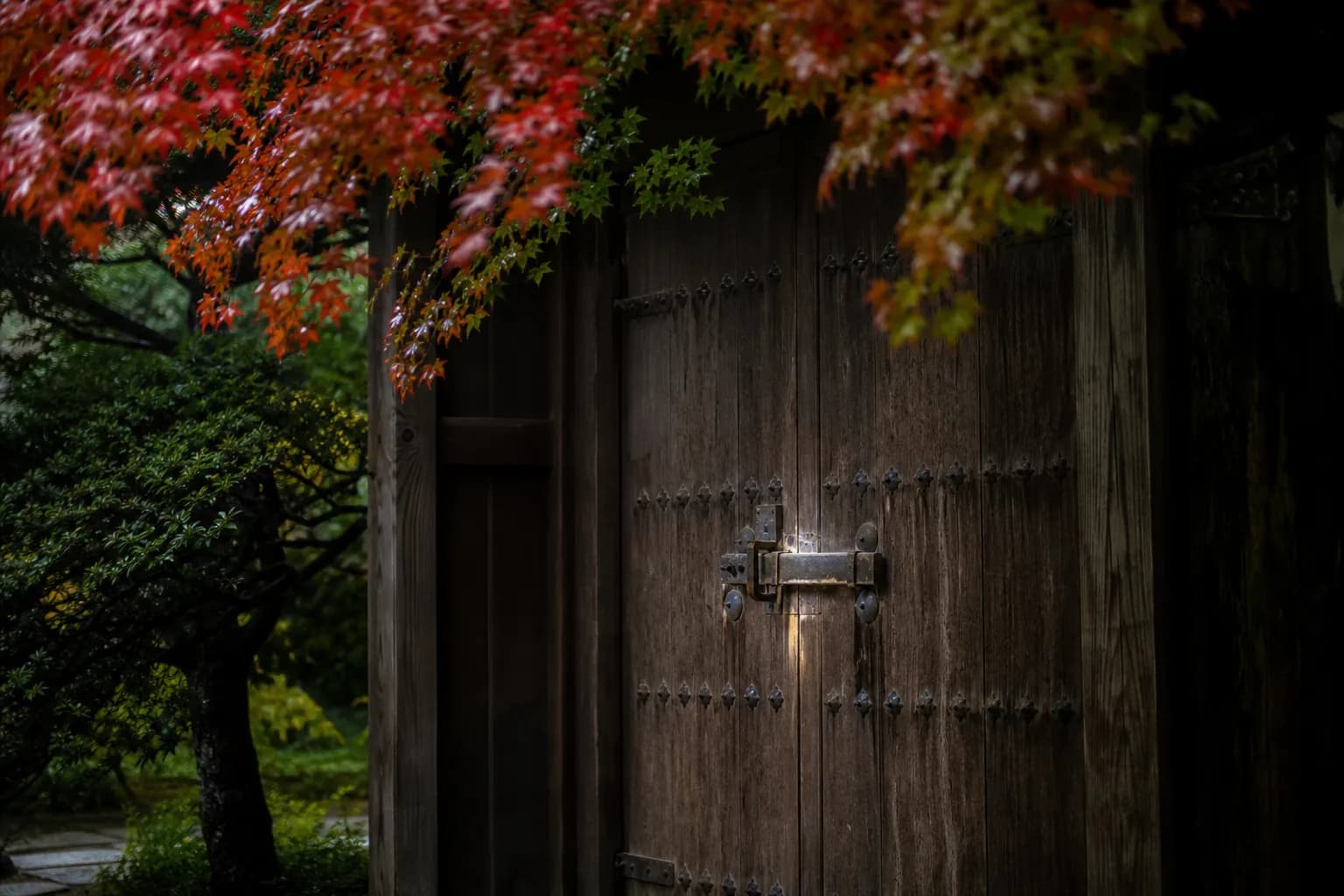 Heavy, ancient wooden doors of a Kyoto temple closed to the public, surrounded by lush green maple trees.
