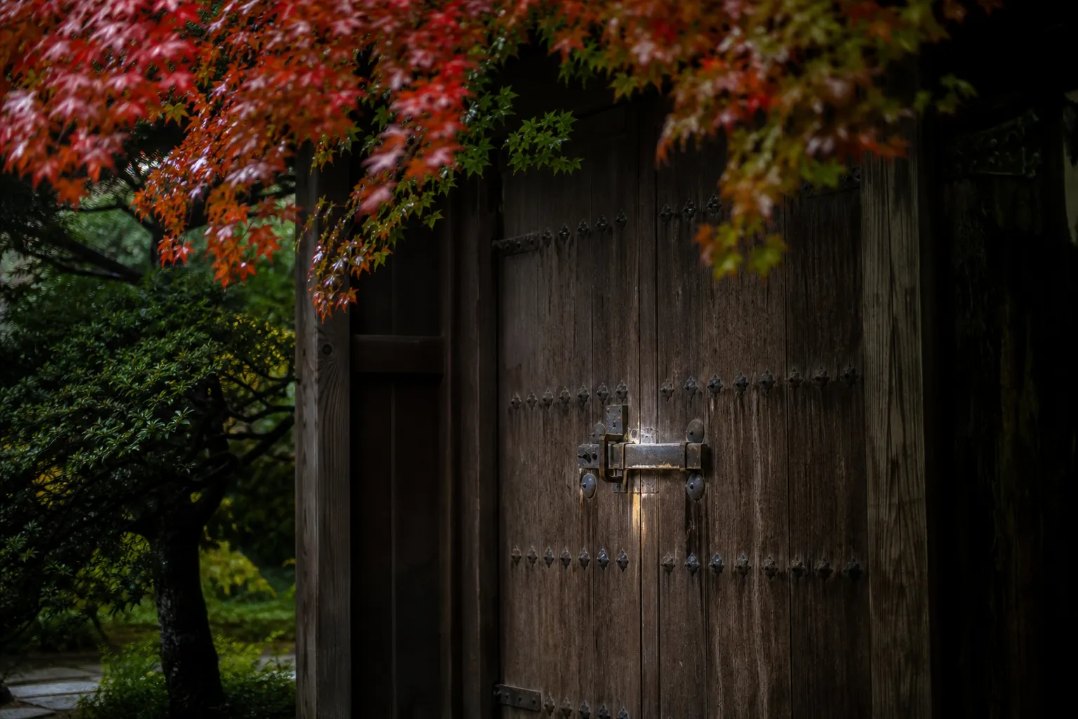 Heavy, ancient wooden doors of a Kyoto temple closed to the public, surrounded by lush green maple trees.
