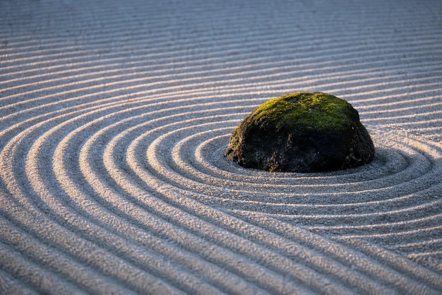 A close-up view of perfectly raked white gravel forming wave patterns around a dark, moss-covered stone.