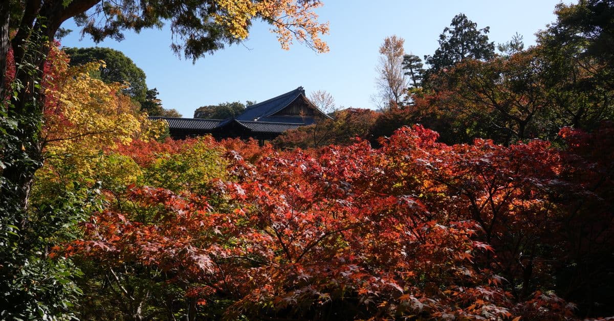 Fall in Love With Kyoto's Private Maples