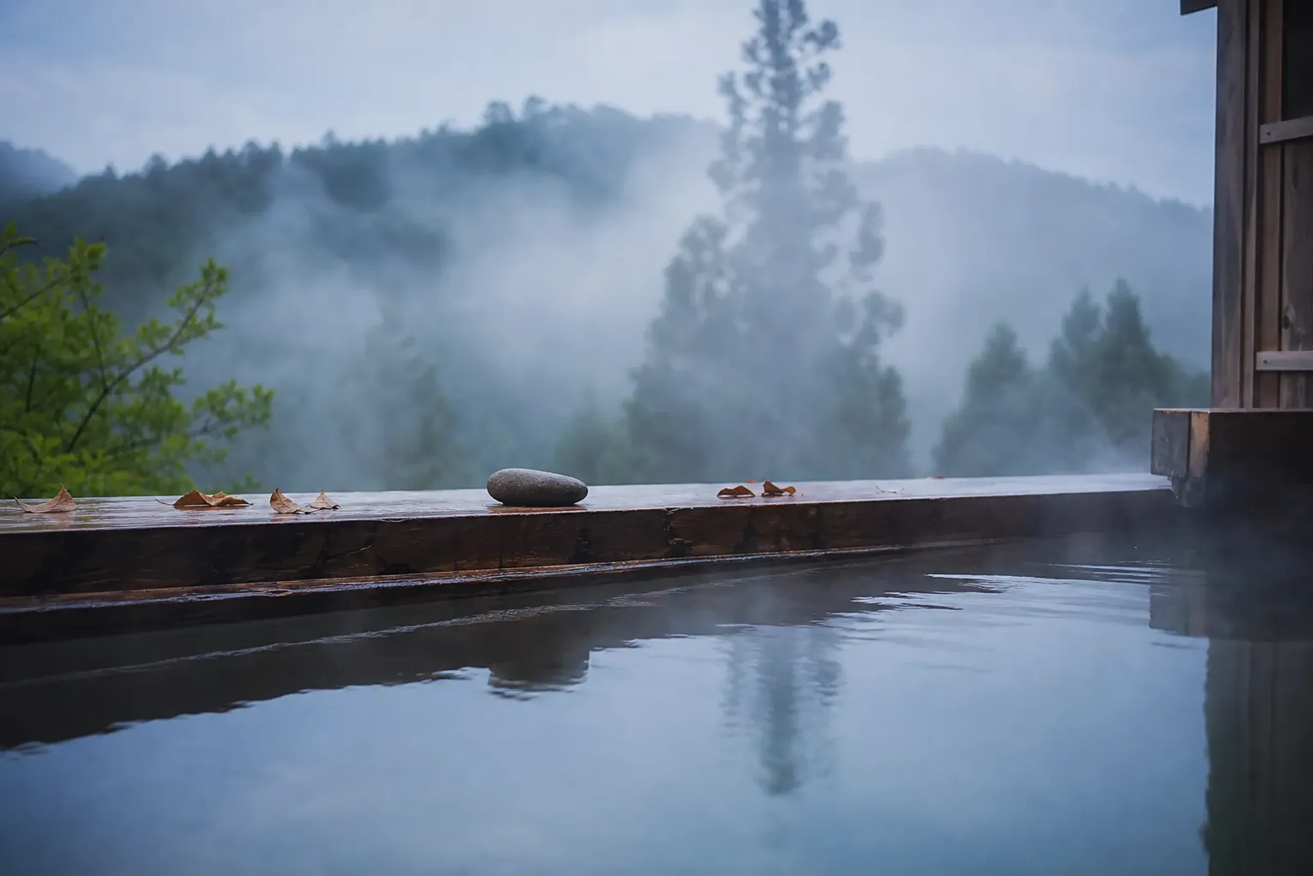 Steam rising off an outdoor onsen bath in a forested valley at dawn