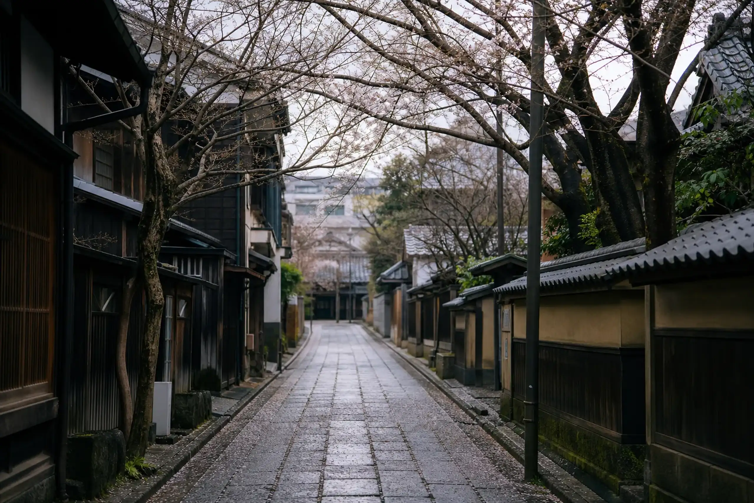 Quiet wooden-house lane in the Yanaka district of old Tokyo