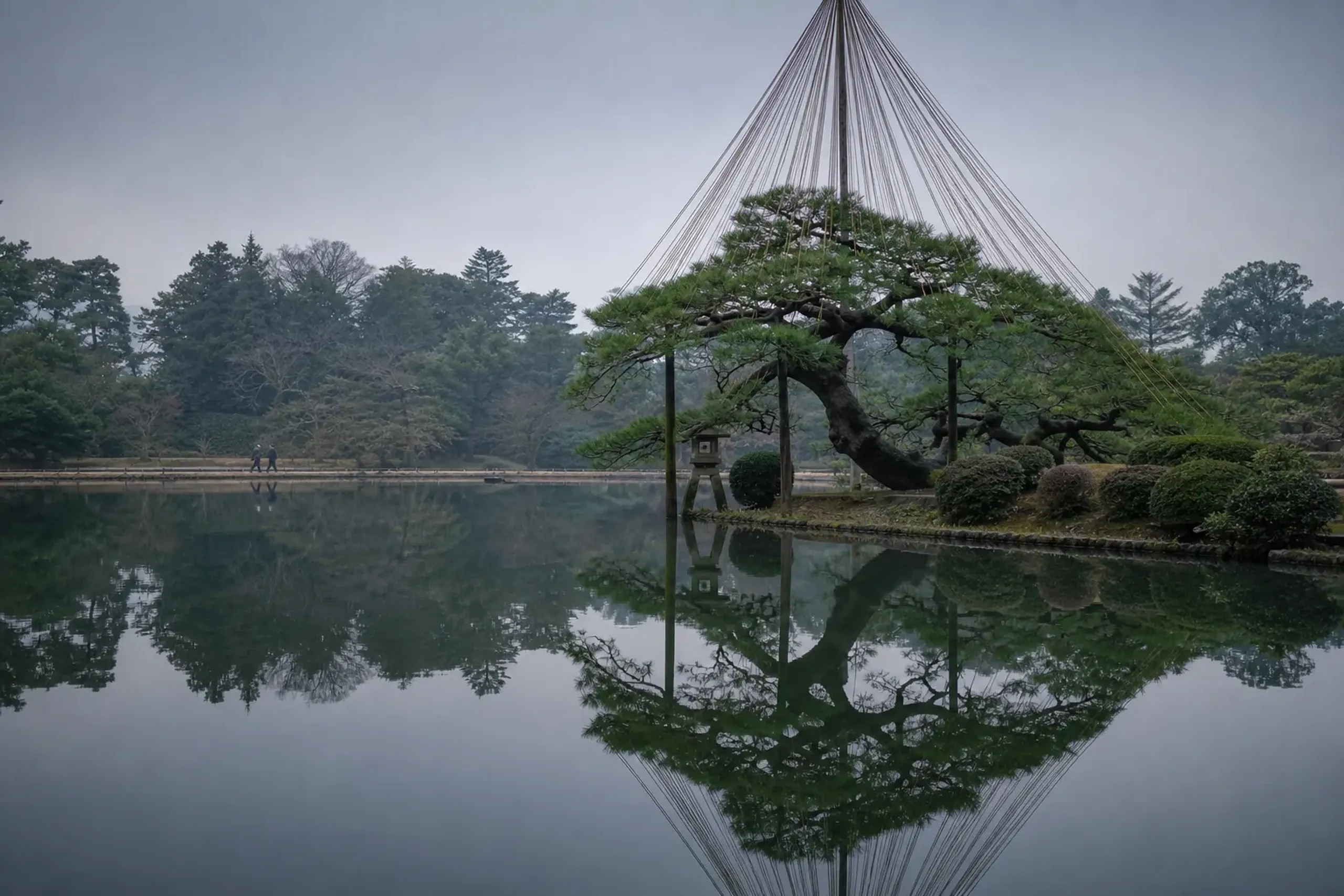 Pine trees with winter rope supports beside a still pond in Kenroku-en garden, Kanazawa