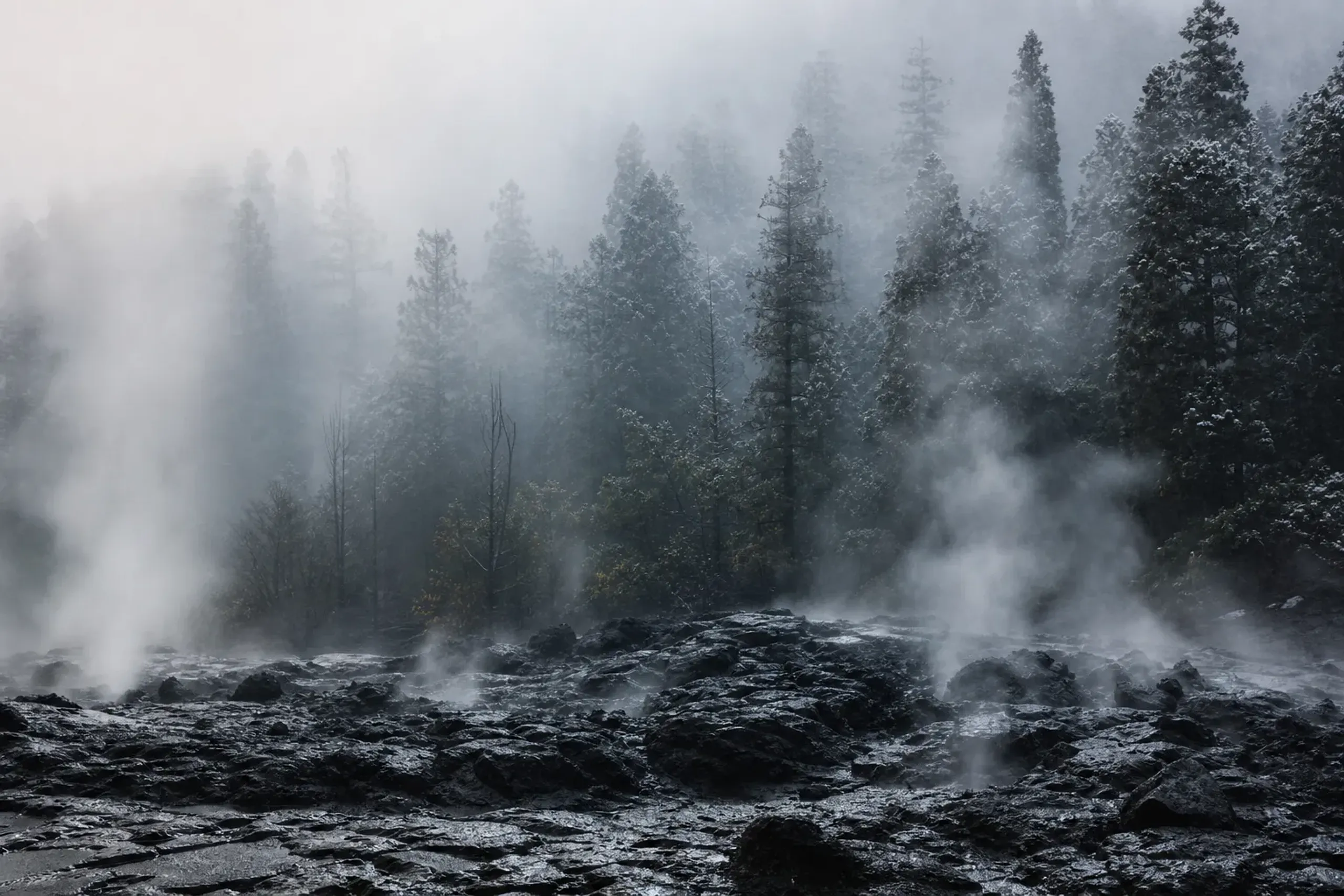 Mist and steam over black volcanic stone and cedar trees in Hakone