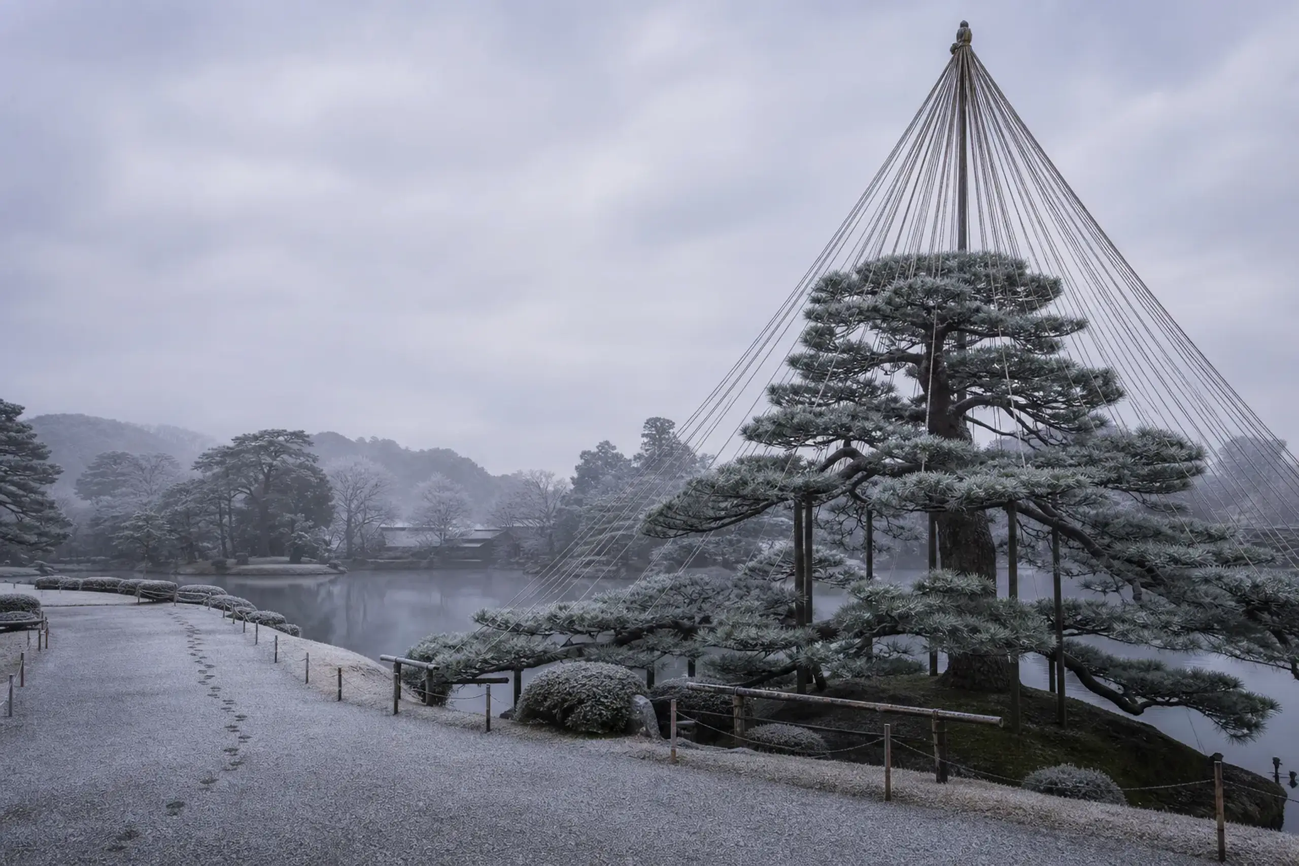 The winter-roped pines of Kenroku-en garden in Kanazawa, held up on ropes strung like something between engineering and prayer, walked without a crowd
