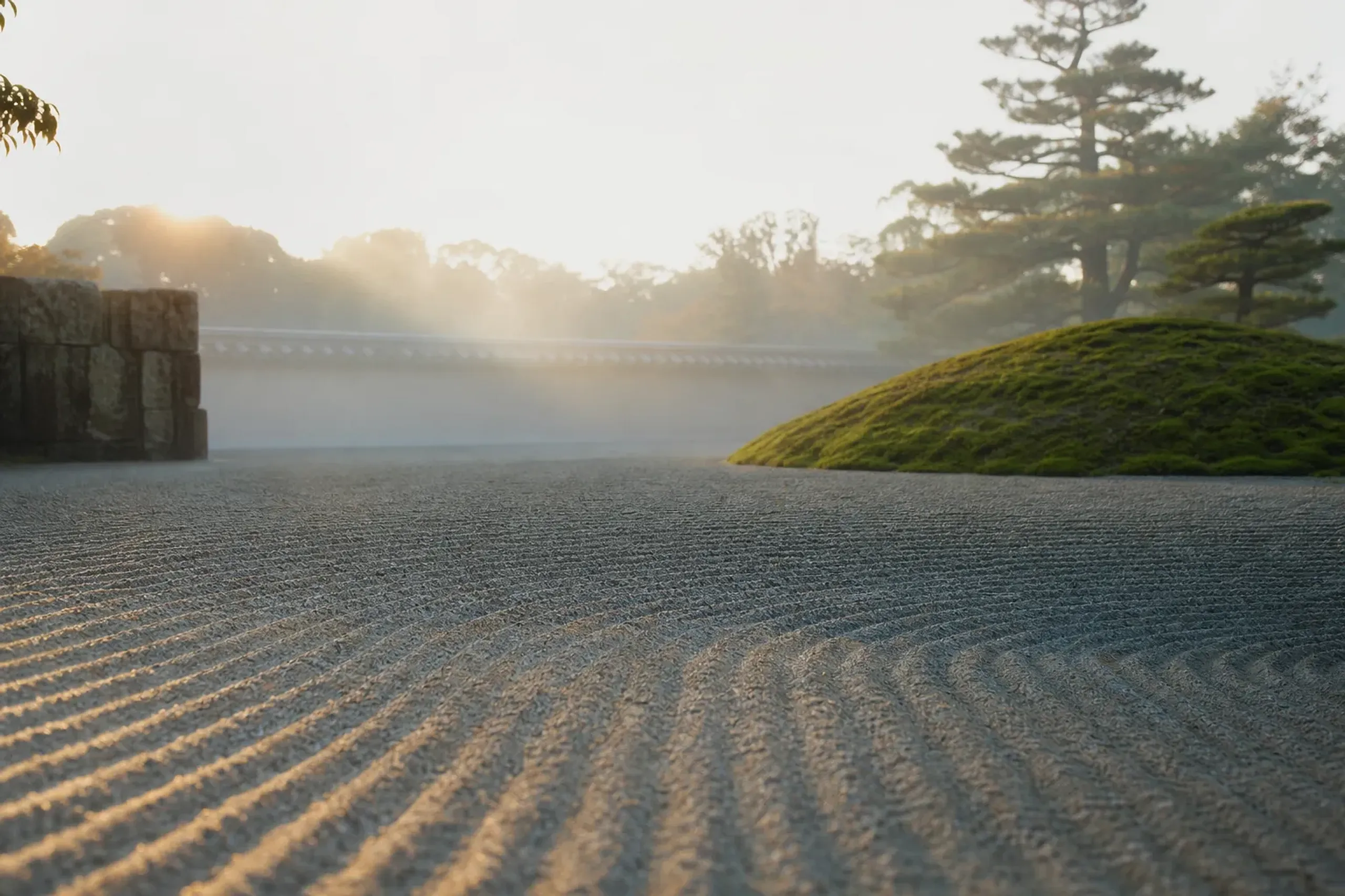 Moss garden and raked gravel in Kyoto in early morning light