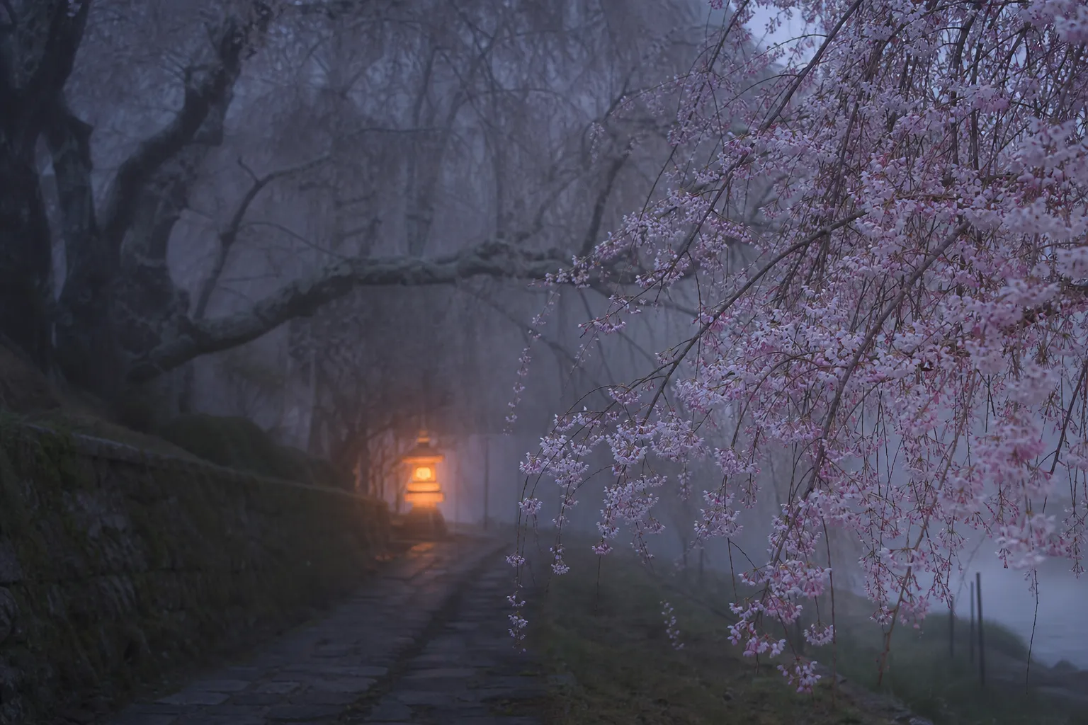 Sakura Matsuri: Japan's Enchanting Cherry Blossom Festival