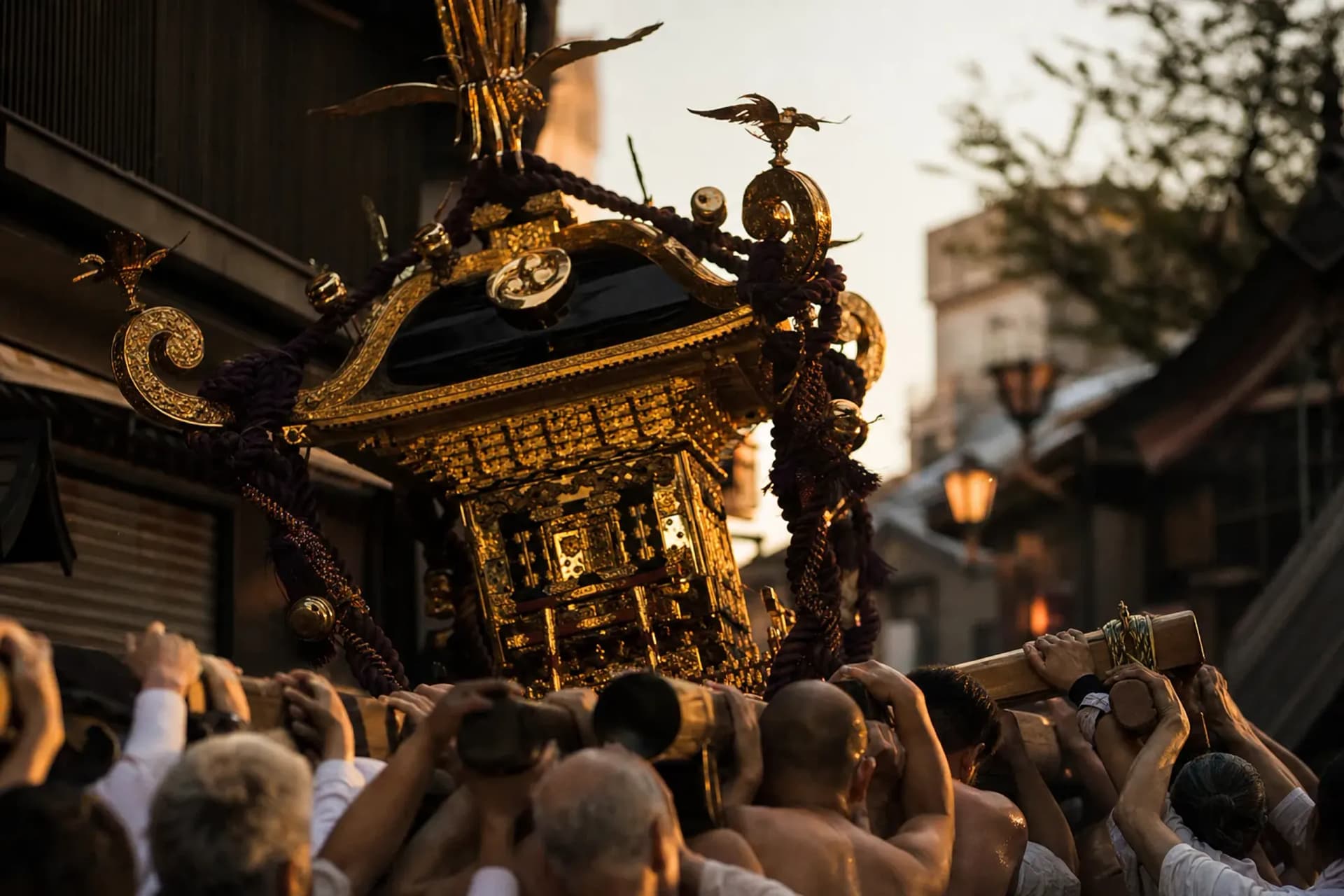 Sanja Matsuri: Three Days of Mikoshi in Asakusa
