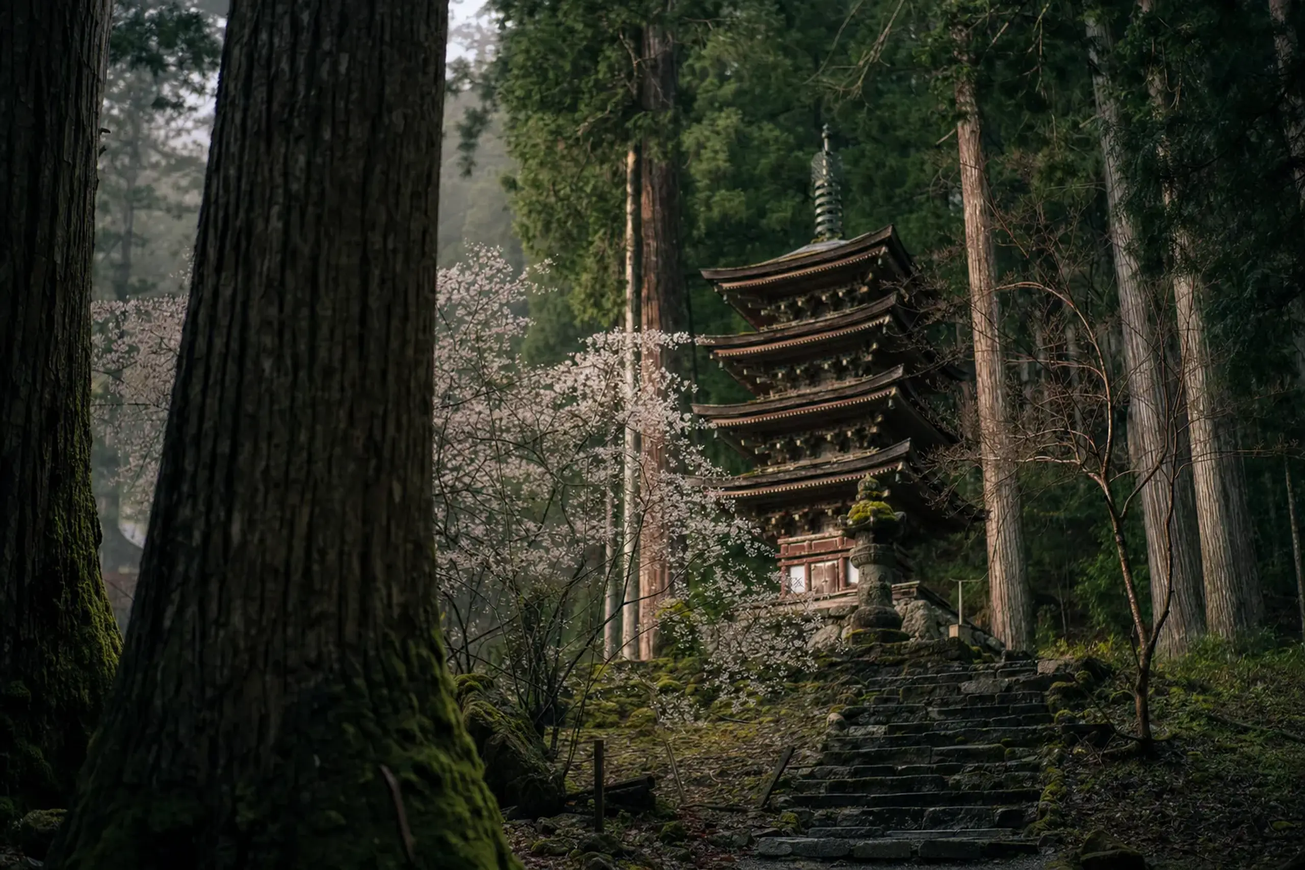 the moss-covered five-storied pagoda of Muro-ji temple set among cedar forest in Uda, Nara