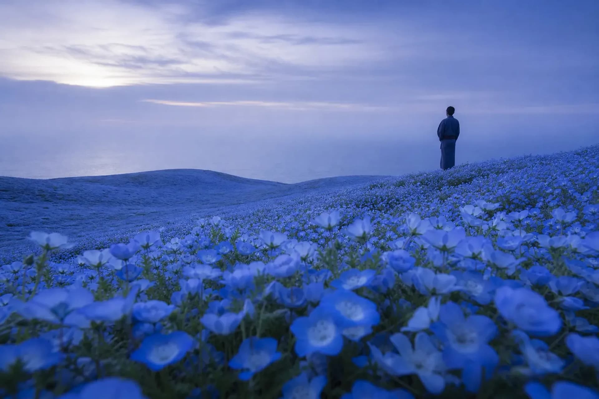 See the Famous Sea of Blue in True Luxury