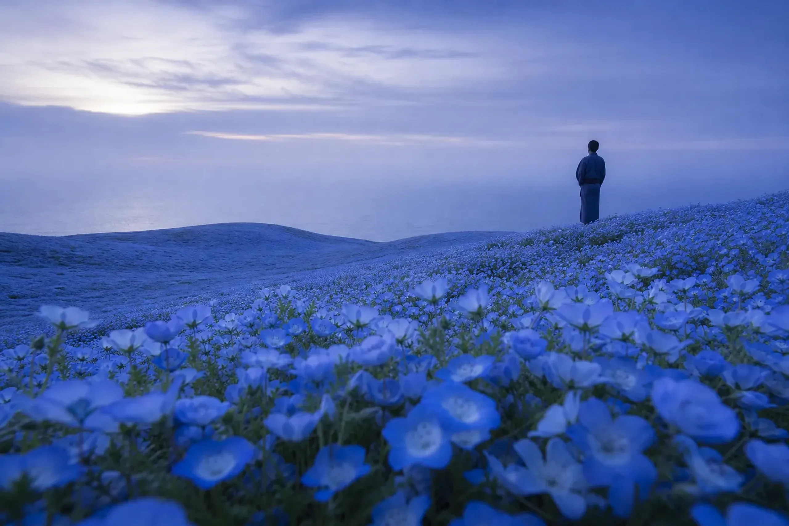 See the Famous Sea of Blue in True Luxury