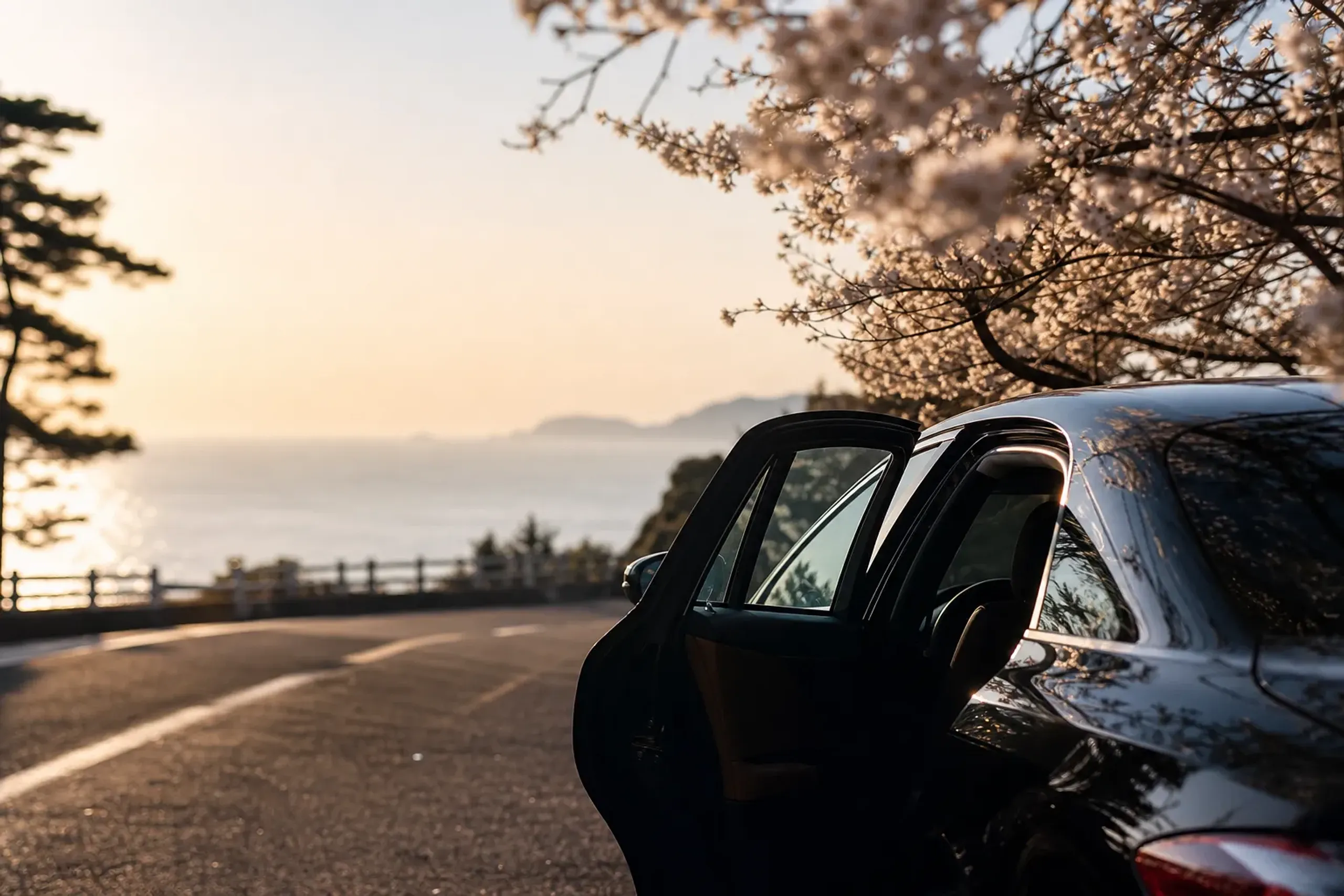Chauffeured vehicle parked on a coastal road in Izu with ocean view