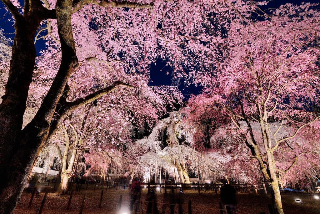 Seiunji Temple, Chichibu (Saitama)