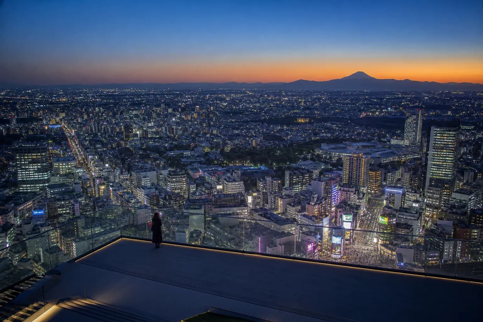 How to Visit Shibuya Sky: Skip the Line & Get the Best Views