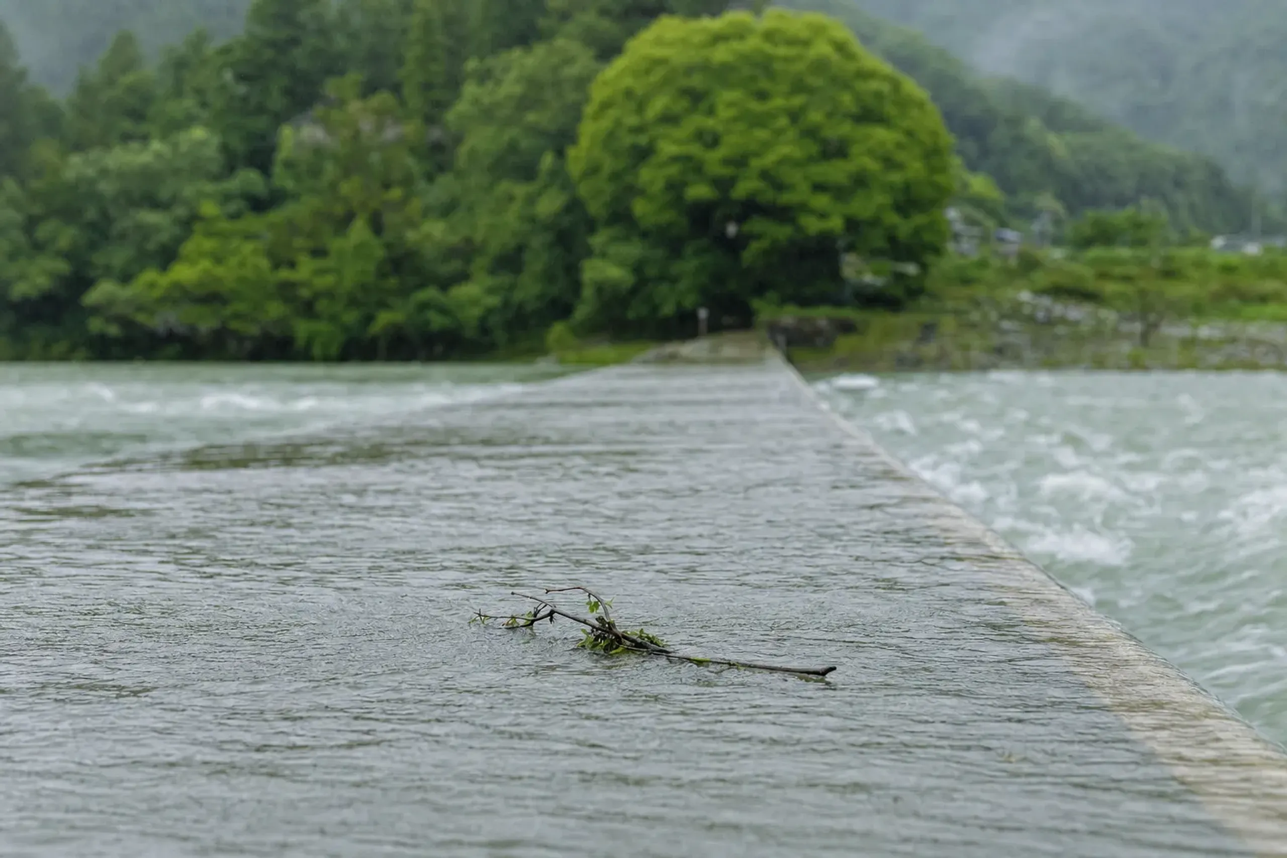 A low railless chinkabashi deck of the Shimanto with floodwater sliding smoothly over its surface, no parapet to catch drifting logs and branches