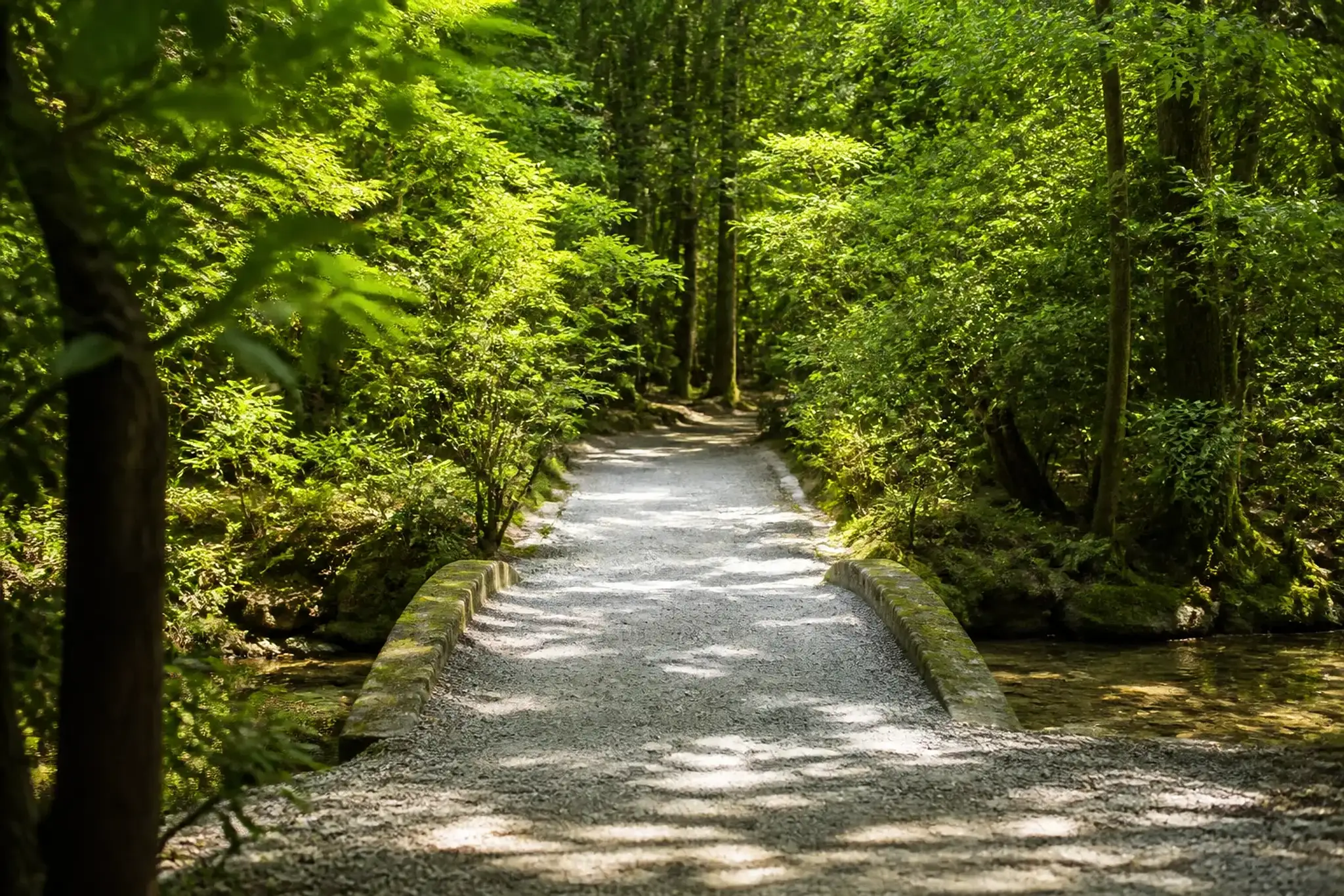 the gravel path through Tadasu no Mori crossing over the Mitarashi stream on the wooded delta where the Takano and Kamo rivers meet