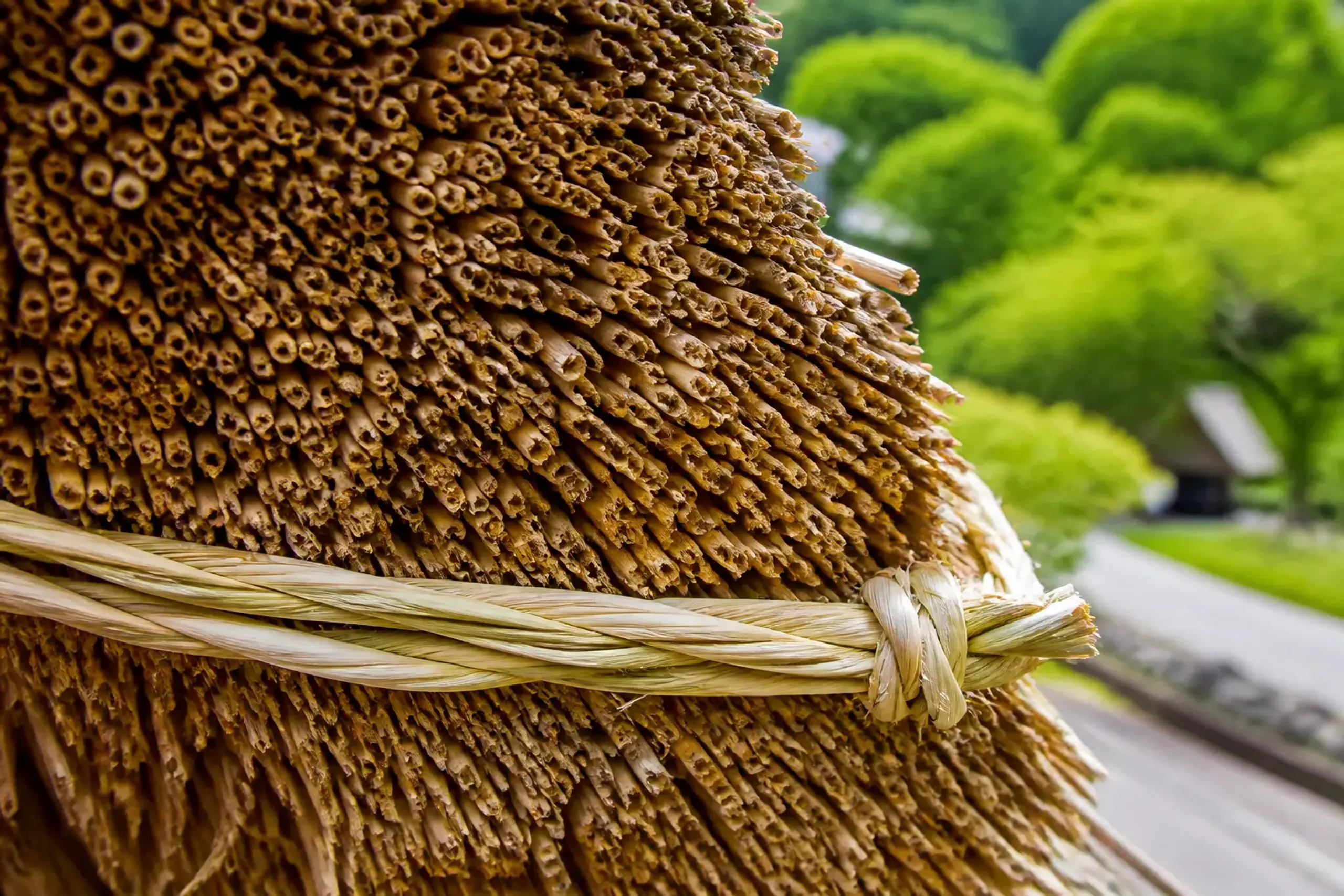 Green witch hazel neso rope binding fresh thatch to a Shirakawa-go roof