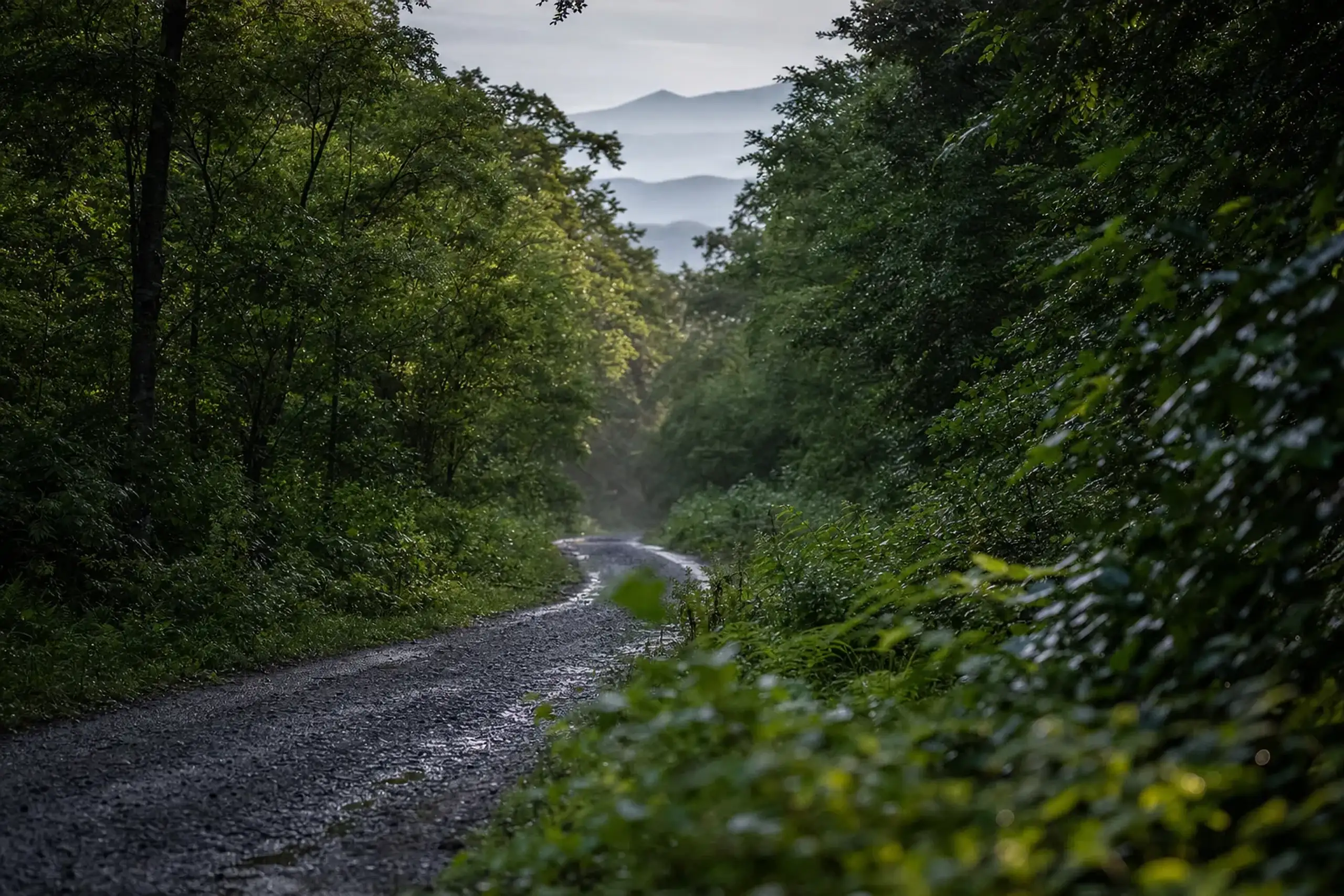 The road beyond the Five Lakes toward Kamuiwakka is about