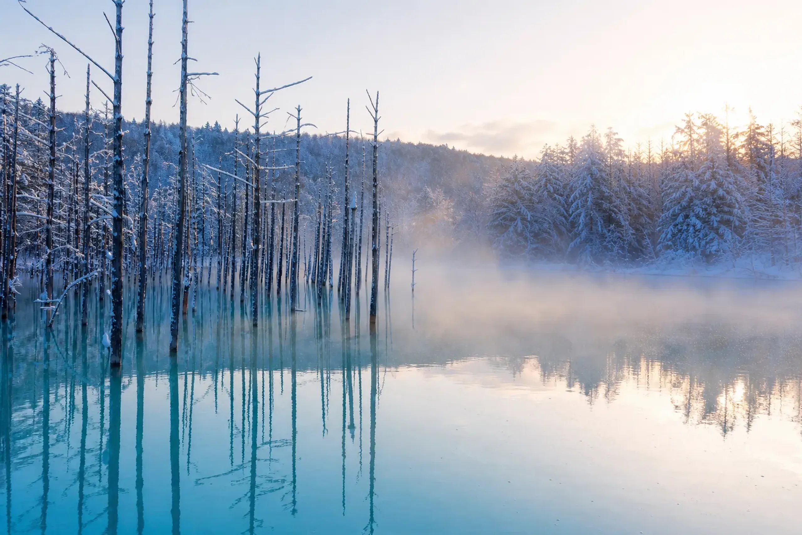 Shirogane Blue Pond: Beautiful Hokkaido Escape
