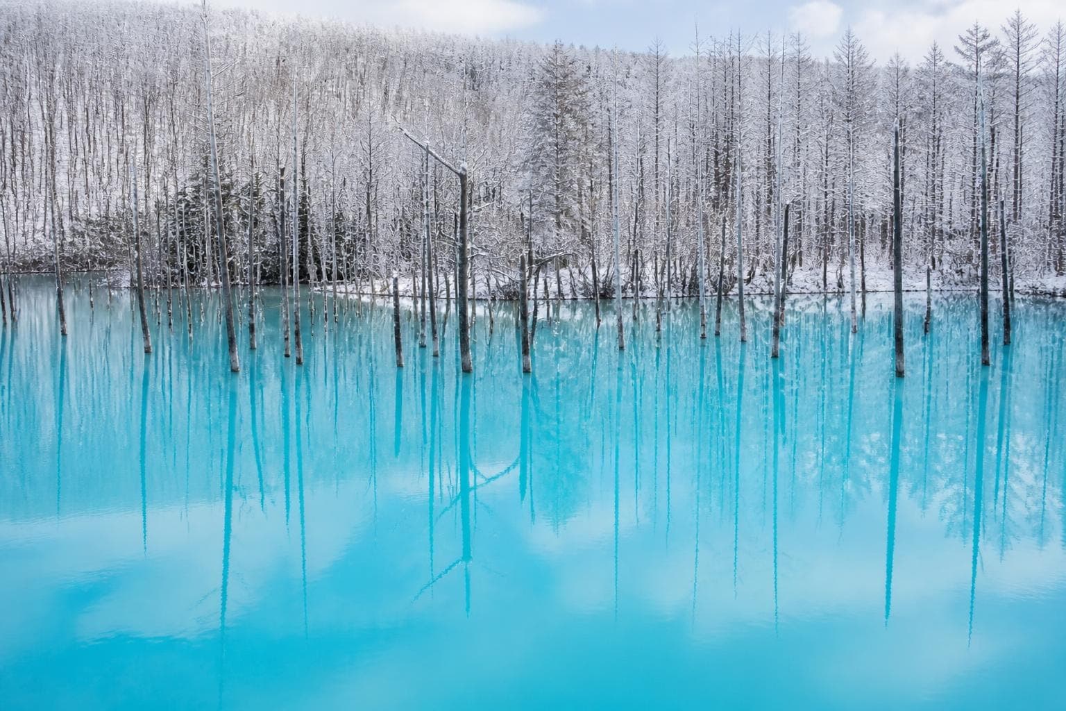 Shirogane Blue Pond: Beautiful Hokkaido Escape