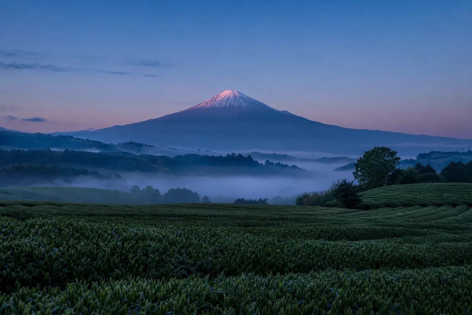 How to Visit Shizuoka: The Ultimate 2026 Travel Guide