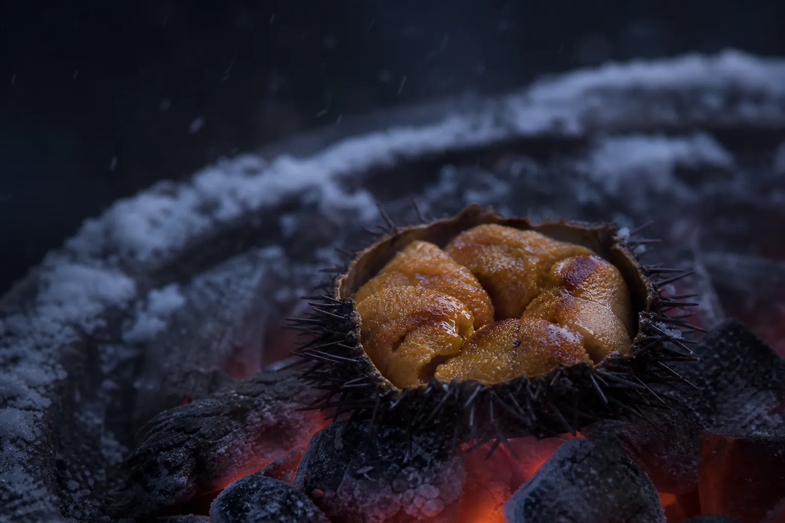 Grilled sea urchin over coals at a North Hokkaido summer festival food stall