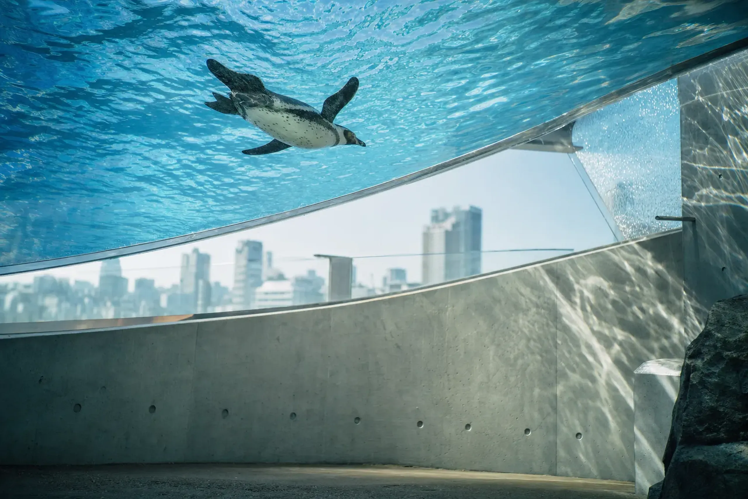 What matters for a visitor is concrete: the tank is
