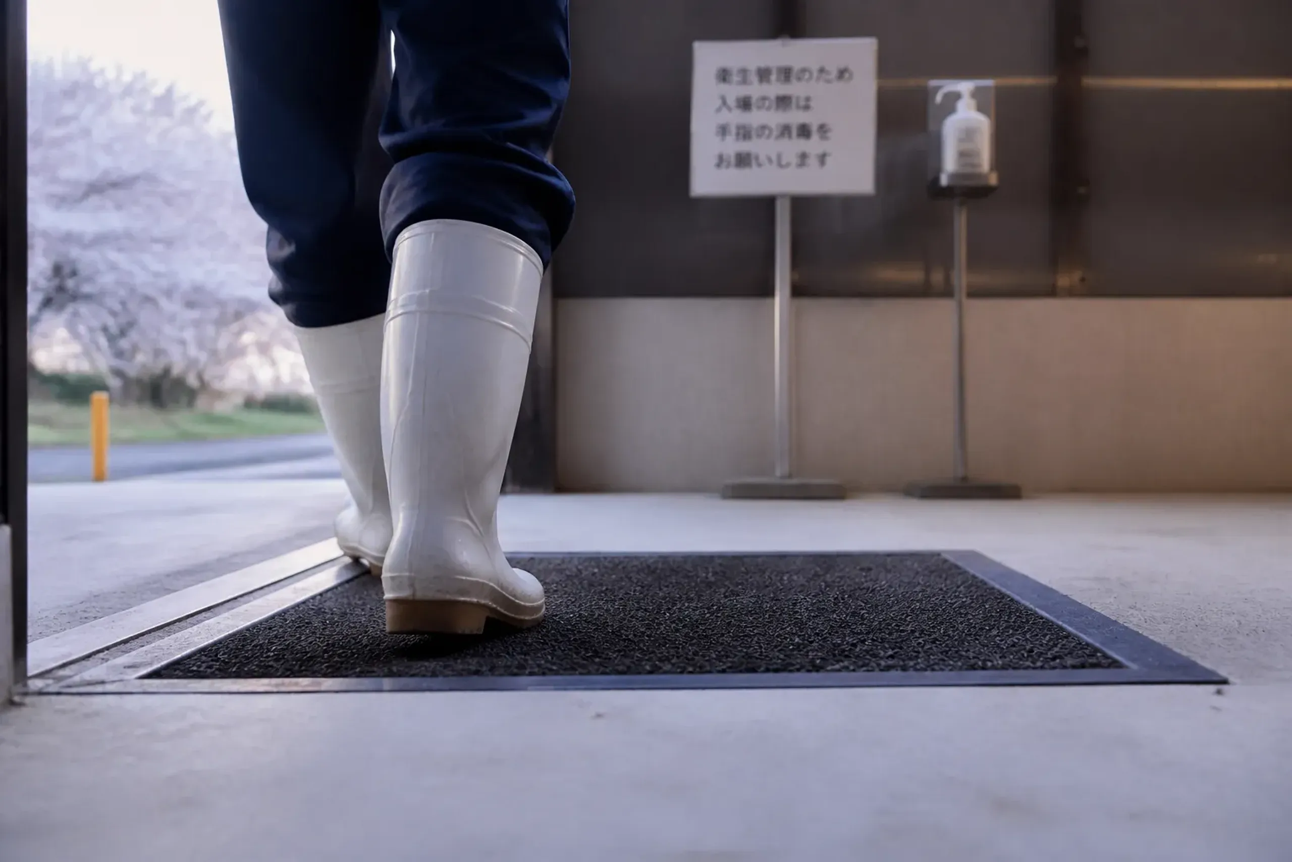 Footwear disinfection mat and hygiene notice at a working cattle facility in Japan
