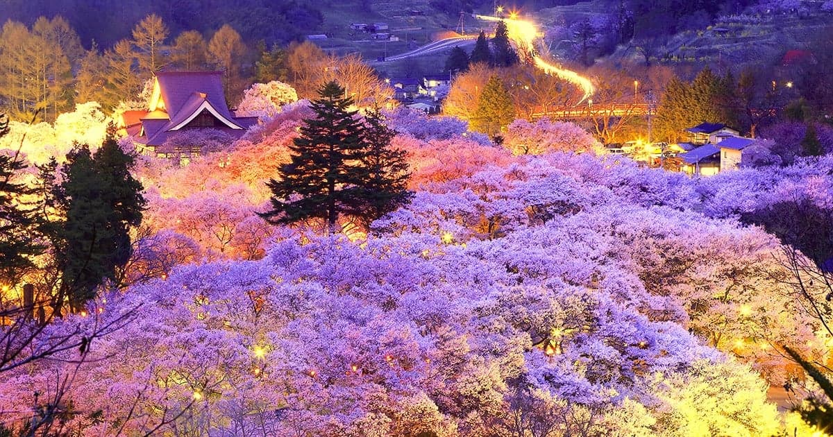 Takato Castle Park 高遠城址公園