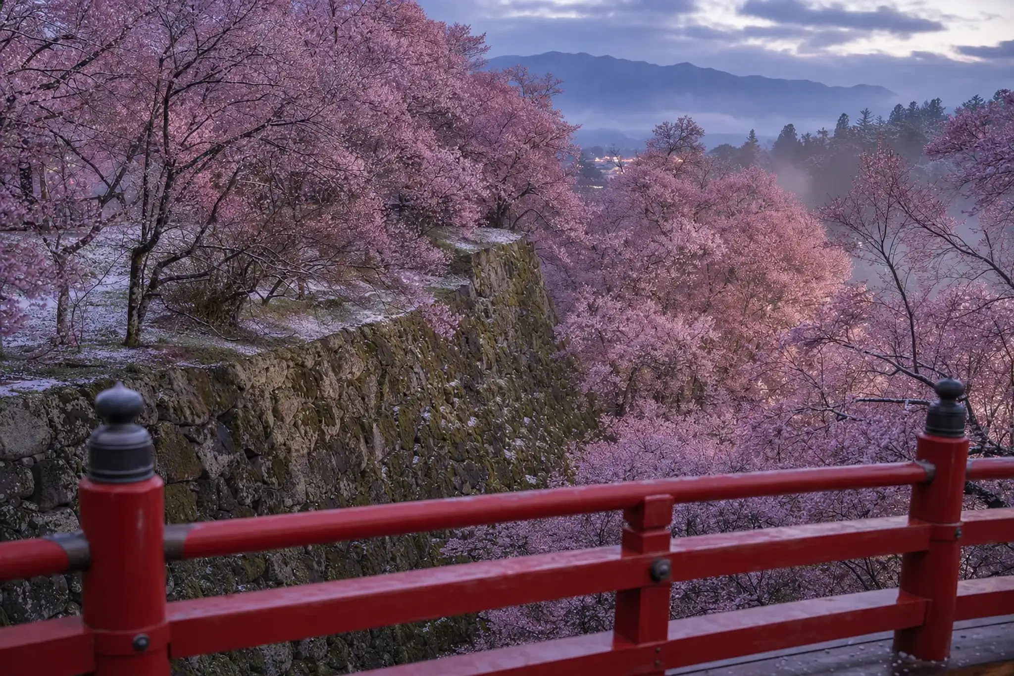 Today, when Takatō Castle Ruins Park fills with its deeper-p