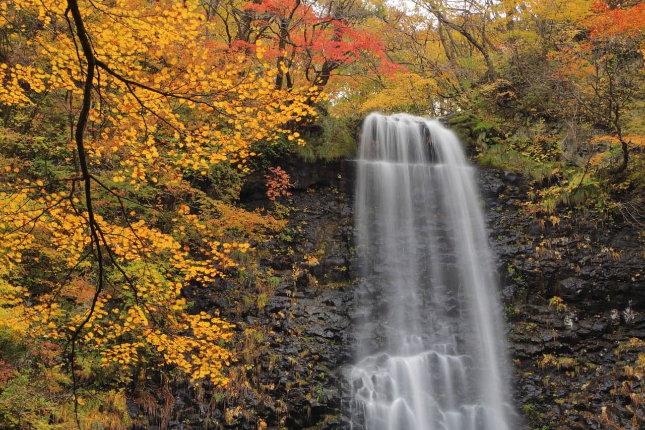 Tamasudare Falls (Tamasudare-no-Taki / 玉簾の滝)
