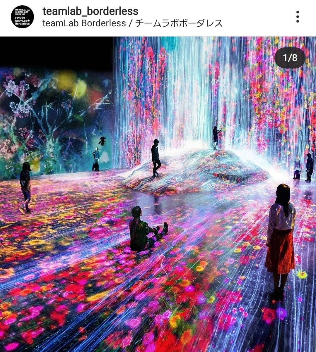 teamLab Borderless: MORI Building DIGITAL ART MUSEUM