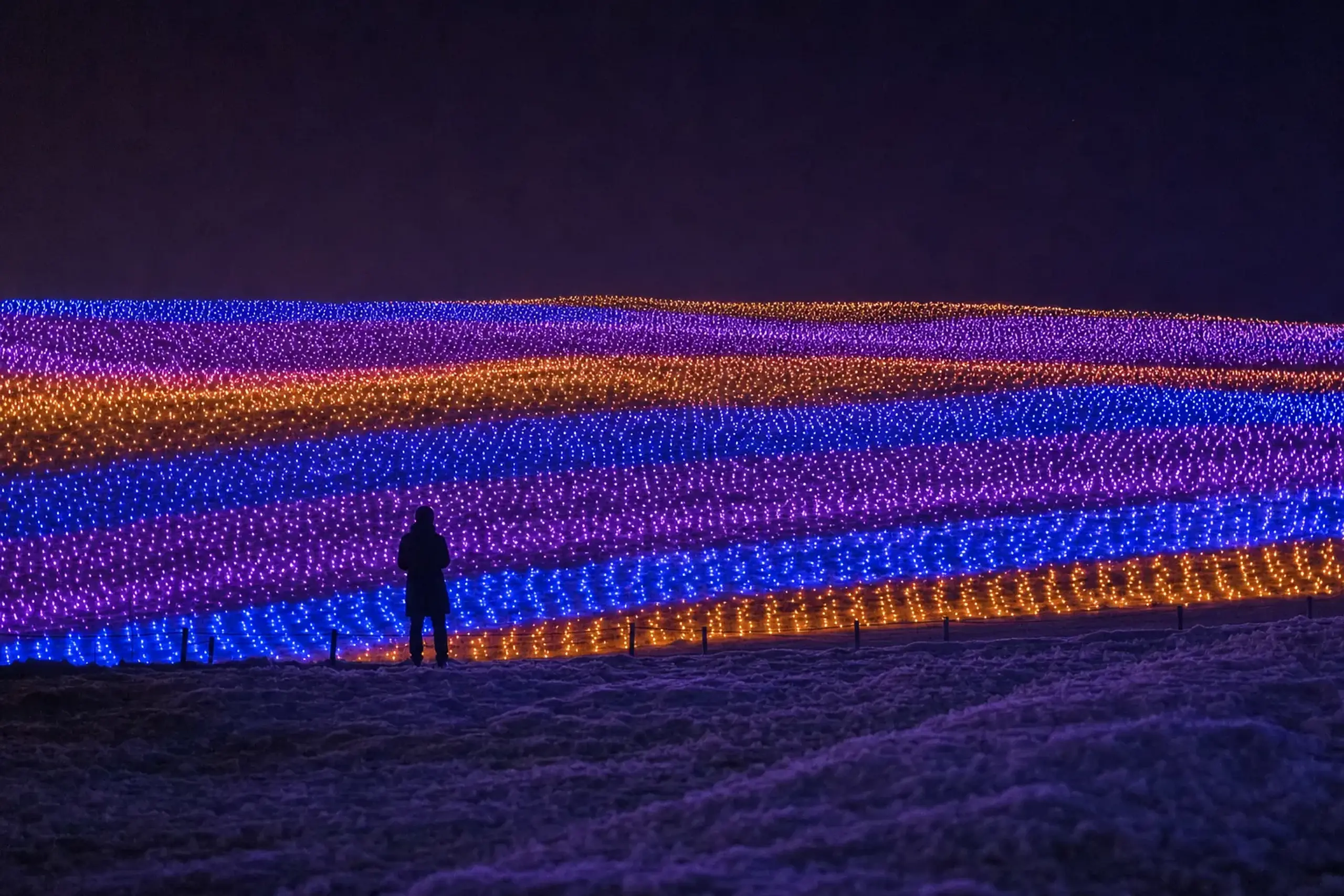 The vast winter illumination field at Nabana no Sato botanical garden, a sea of colored bulbs stretched across the outdoor landscape