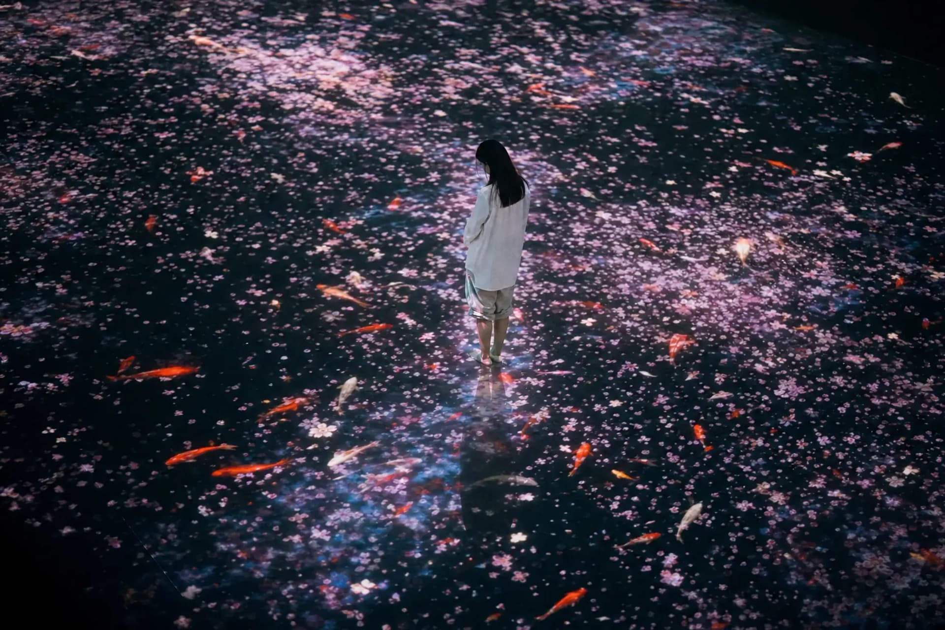 teamLab Borderless vs Planets vs Nabana no Sato