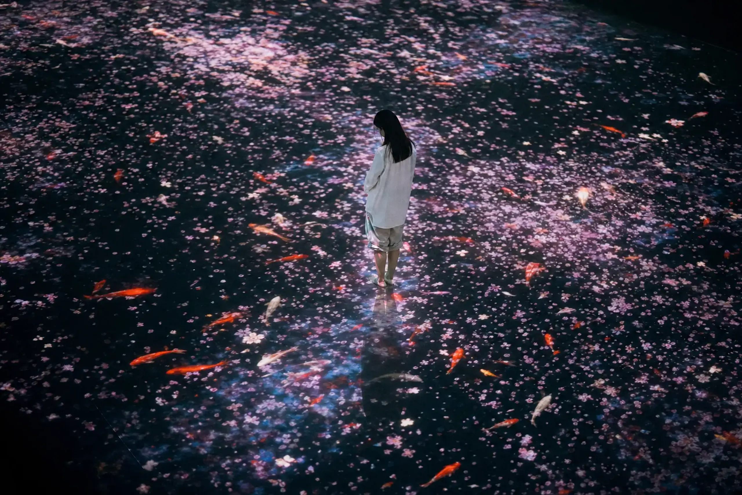 TeamLab Borderless Vs Planets Vs Nabana No Sato: Two Kinds Of Light In Japan