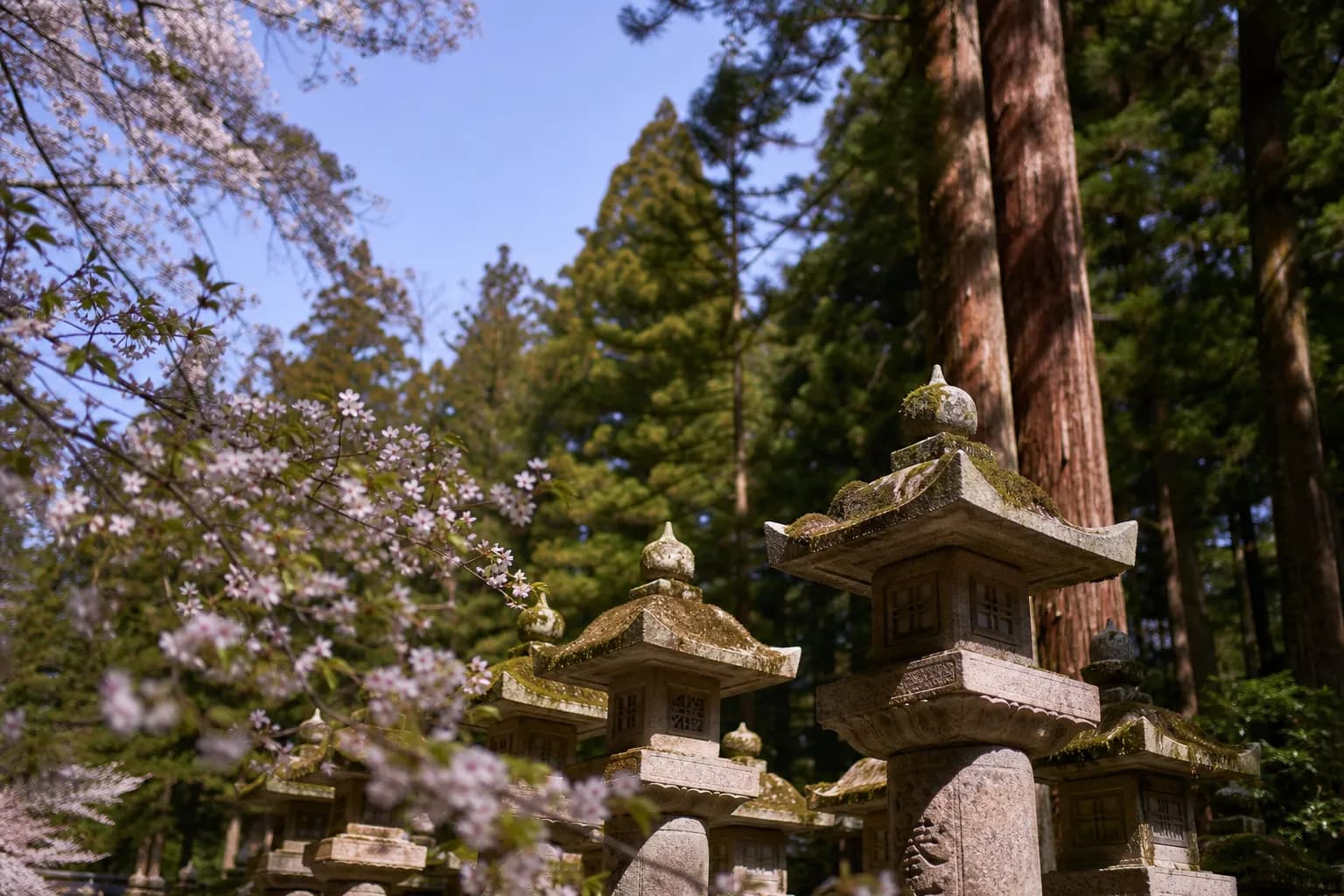 Temple Sages Of Koya-san: A Quiet Luxury Guide To Japan's Sacred Mountain (2026)