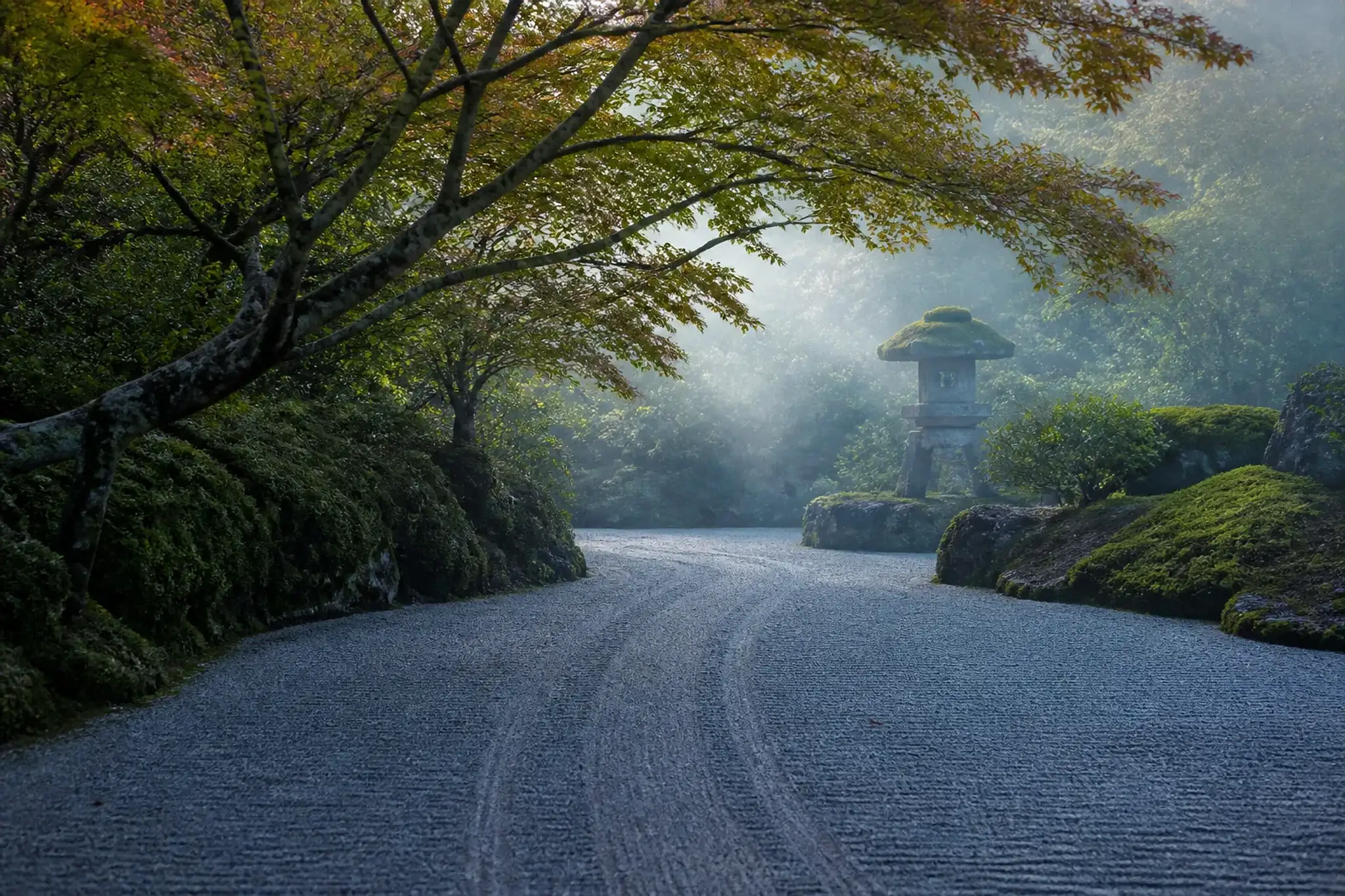 Empty mossy Japanese garden path with stone lanterns in soft morning light