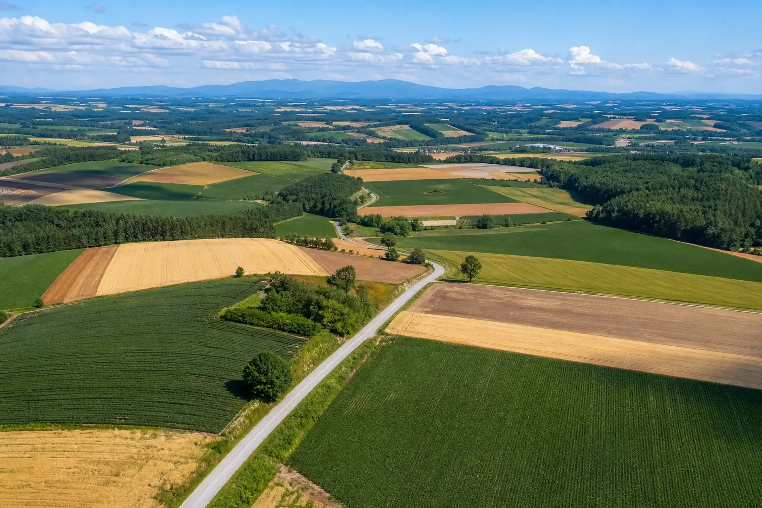 Patchwork hills and farmland in Biei, Hokkaido on a summer day
