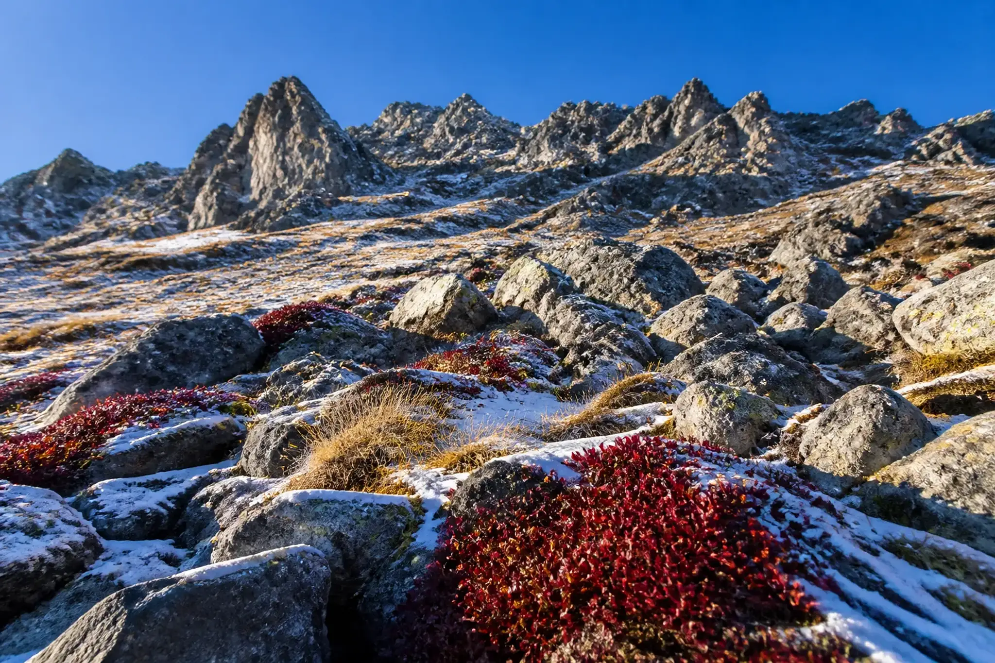 Red and gold autumn foliage on the rocky slopes of Mount Kurodake in Daisetsuzan National Park.