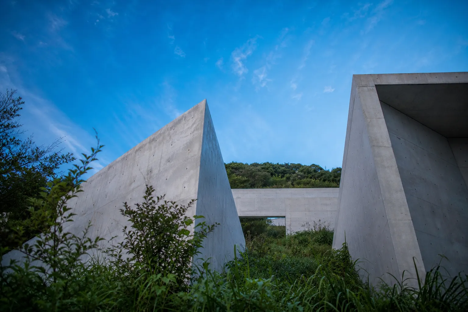 Serene minimalist concrete art museum interior with natural light from above and no crowds
