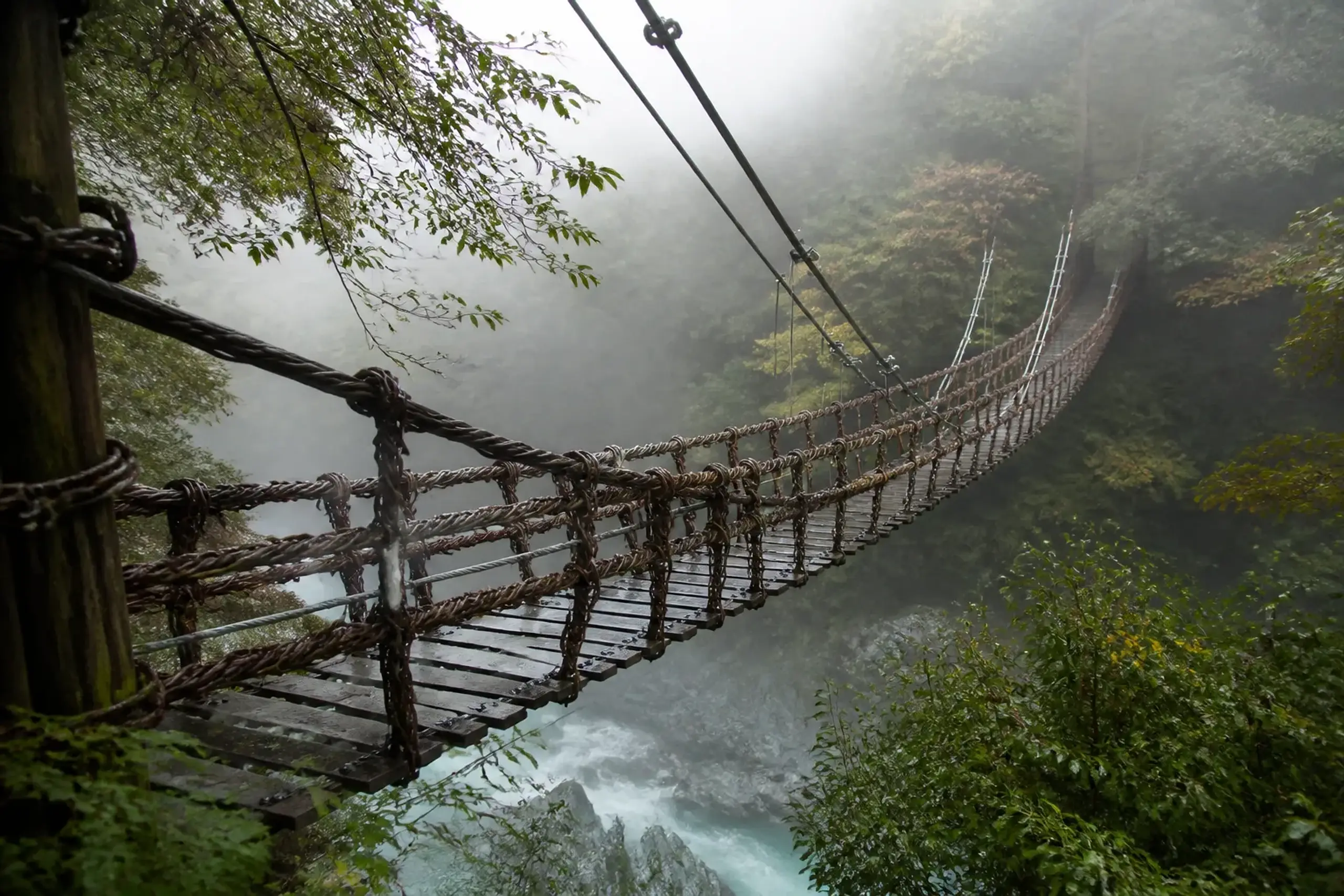 The Iya Kazurabashi vine bridge suspended over the steep green gorge of the Iya Valley in Tokushima, empty of visitors in early morning light, its woven vines and hidden reinforcement cables visible a