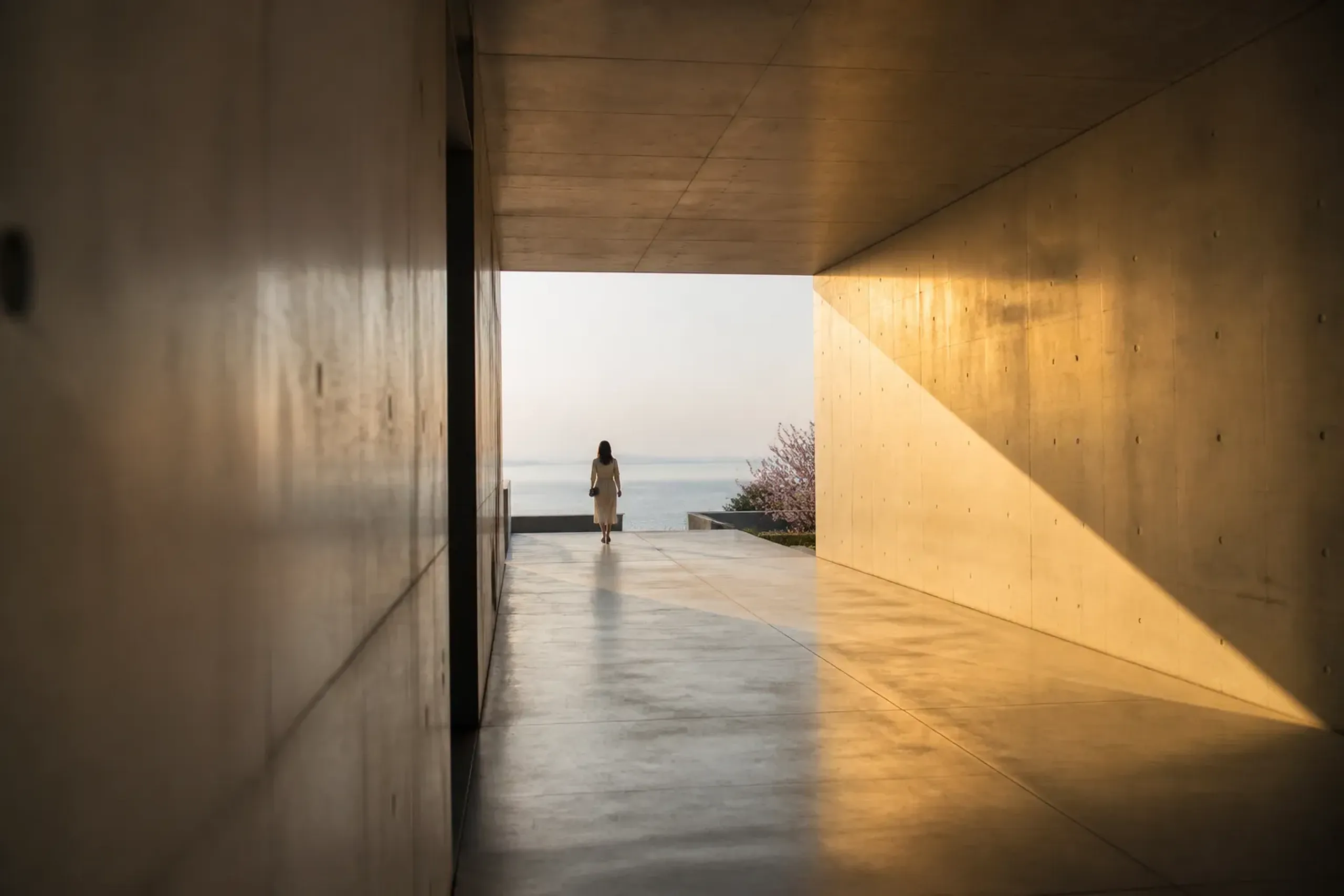 Benesse House area on Naoshima with modern concrete architecture and museum approach, illustrating the hotel-museum concept