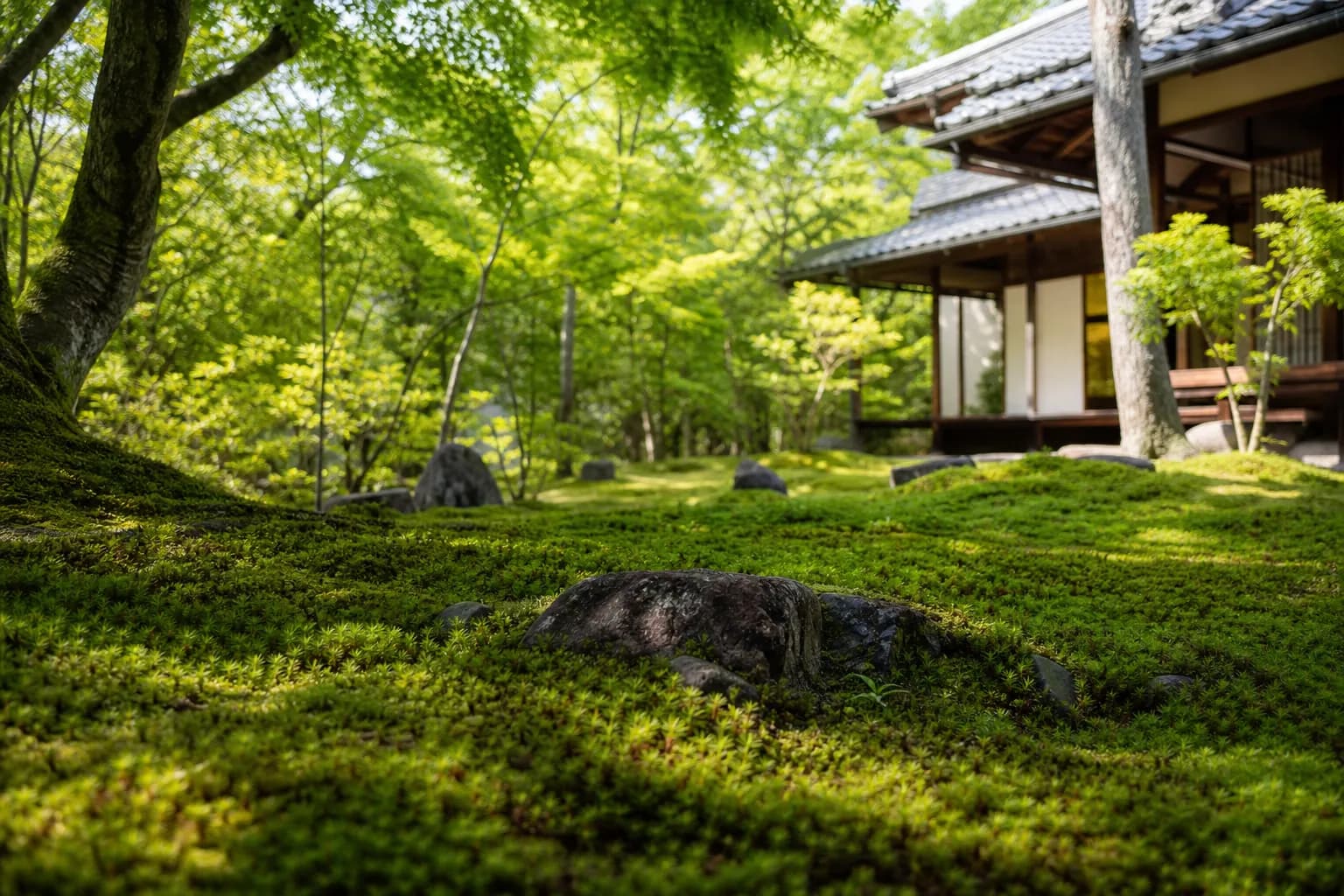 The Velvet Path: Private Tours Of Kyoto’s Finest Moss Gardens With Japan Royal Service