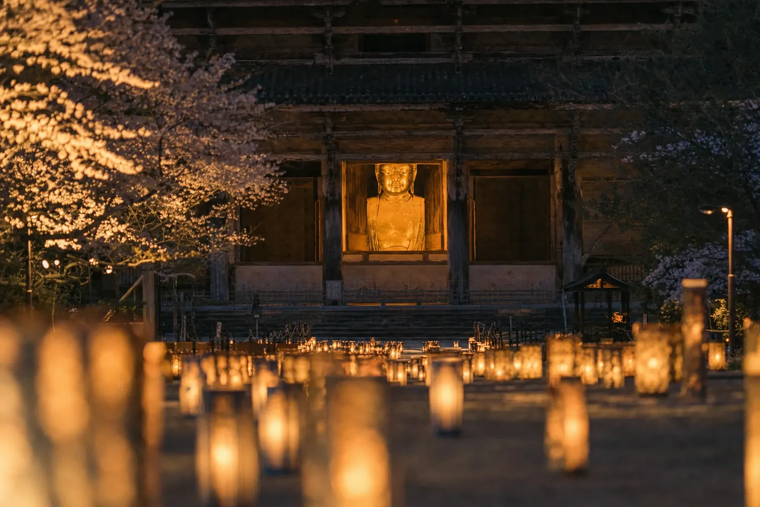 the nearly 15-meter-tall bronze Great Buddha of Todai-ji glowing softly through the open front viewing window of the Daibutsuden at night