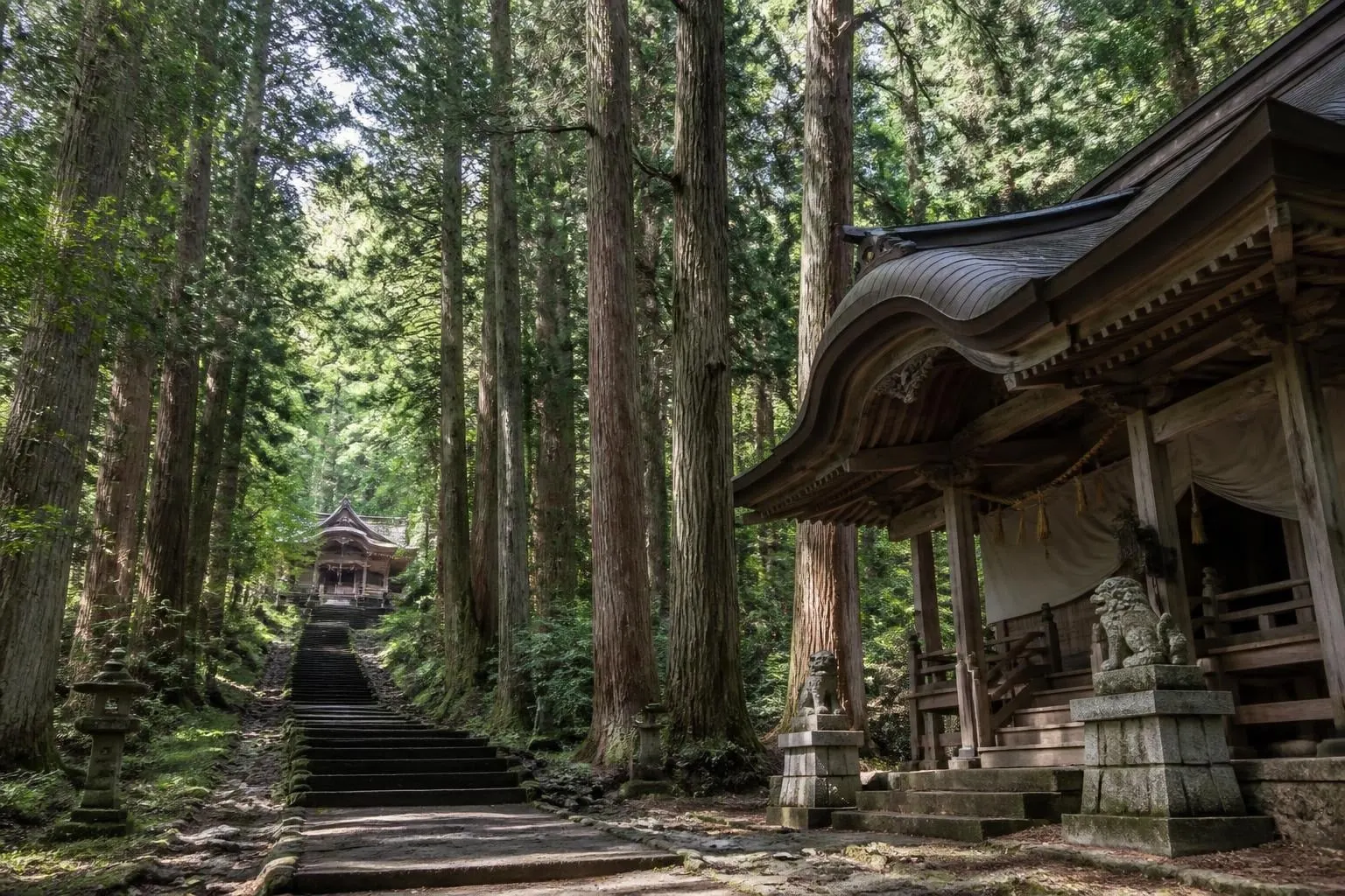 Stone steps wind through a dense forest toward a small wooden shrine in the distance, flanked by tall trees.
