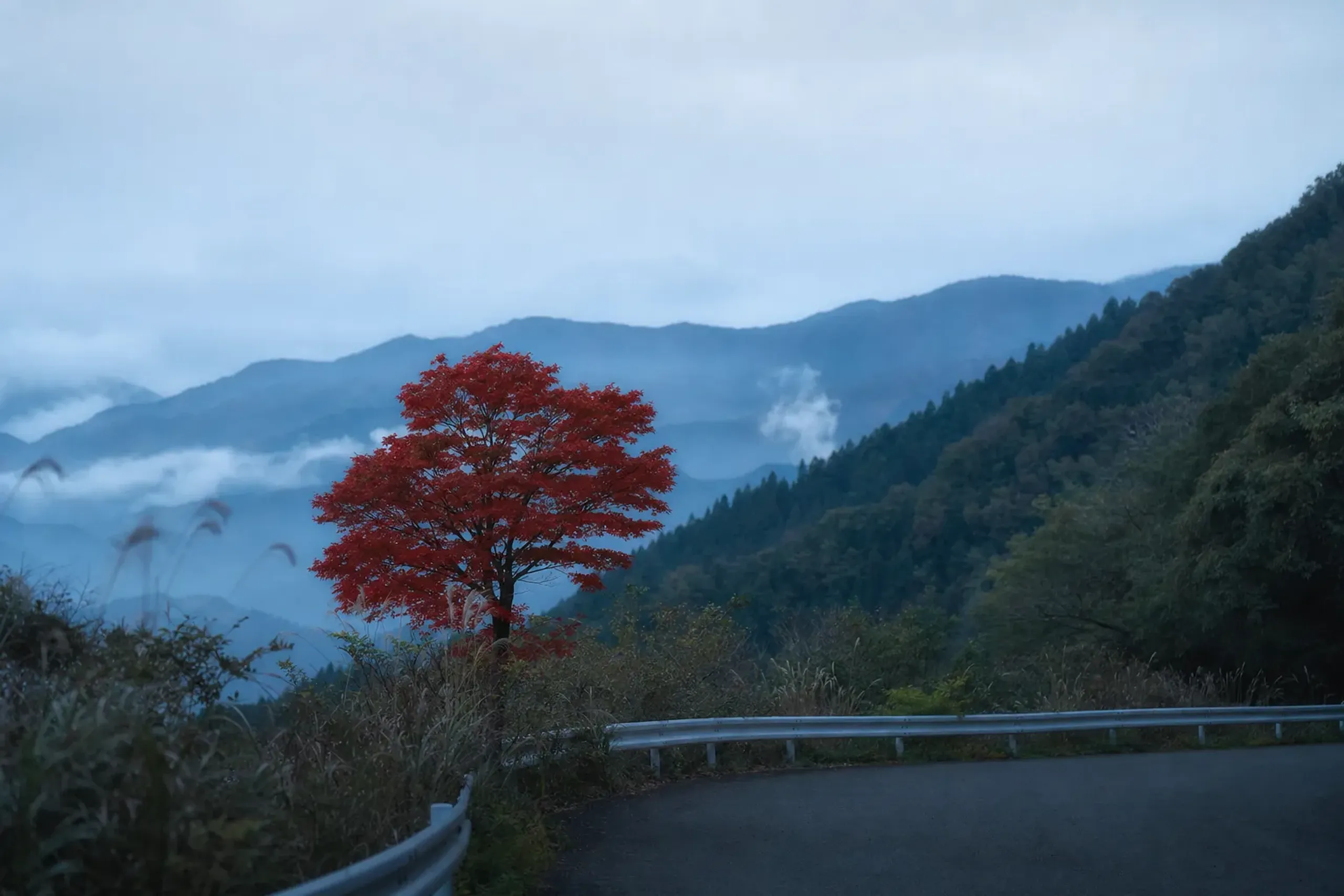For the broader case on why Tohoku rewards the detour