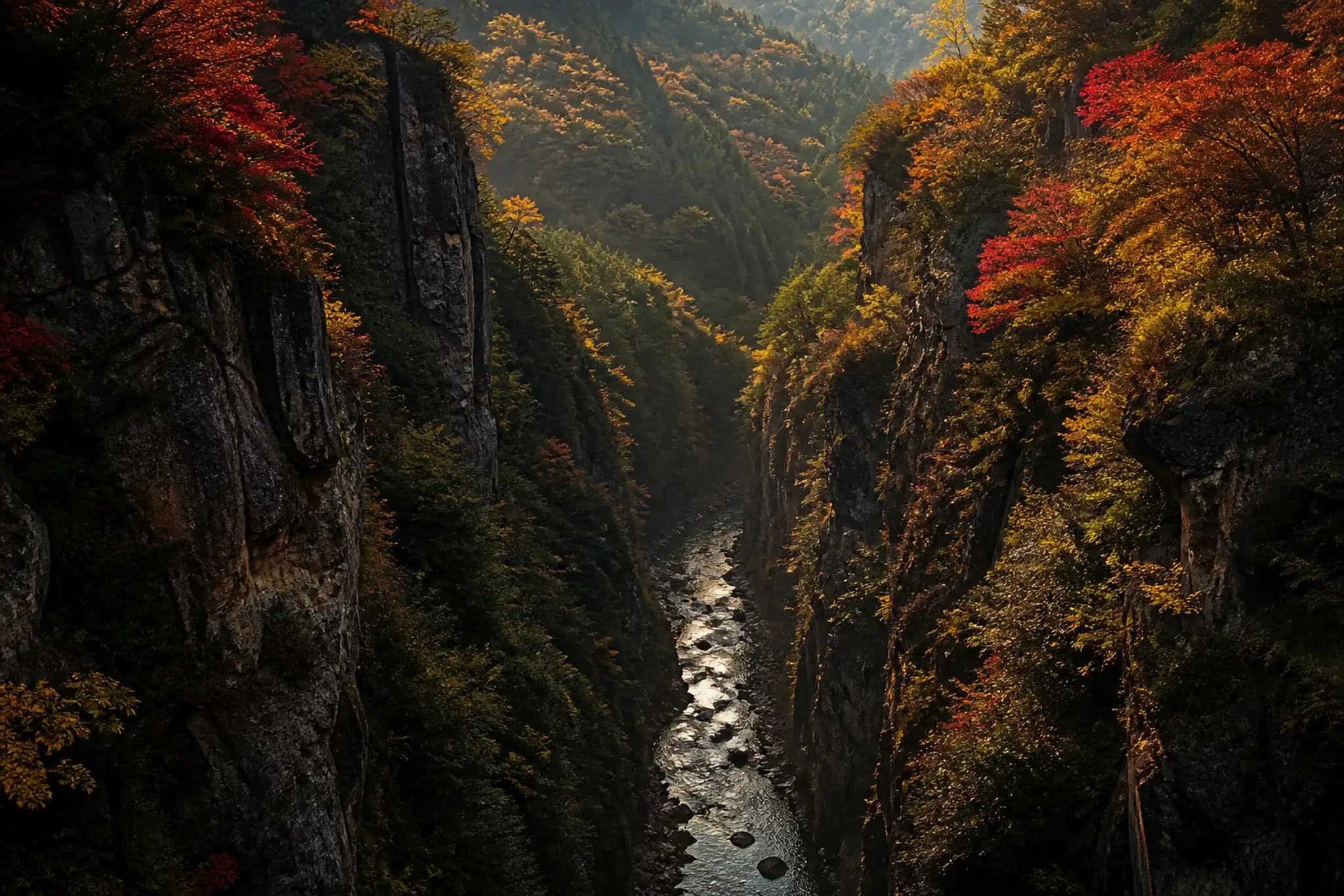 Late-afternoon view from the Naruko Gorge observation deck in Miyagi: steep rock faces in long shadow with peak kōyō maples along the gorge walls and the river far below, emphasizing the deepened colo