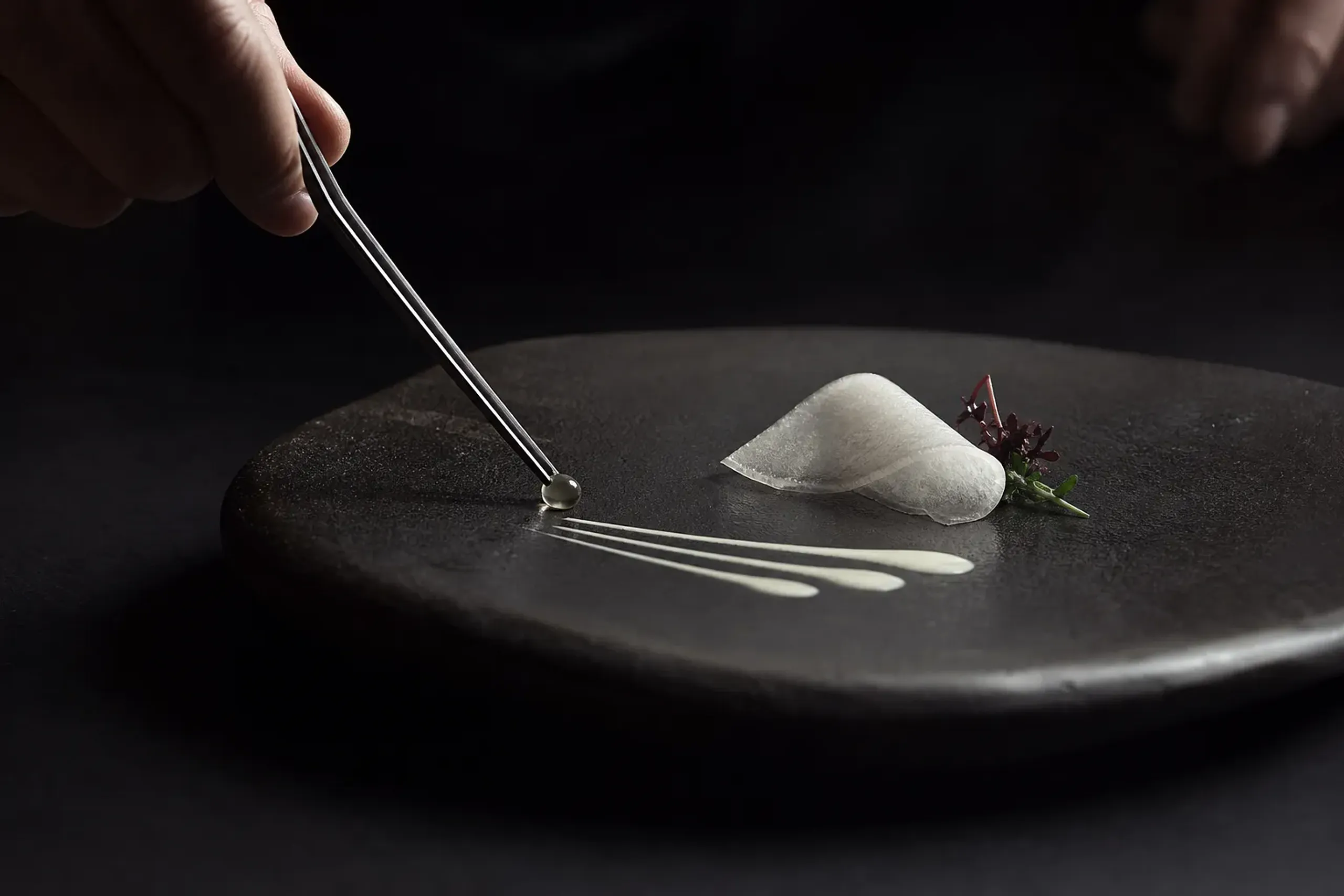 Tokyo Molecular Cuisine: Quietly Radical Dining by JRS