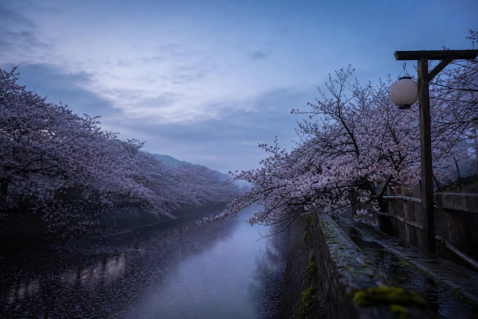 Experience the Magic: How to See Tokyo's Best Cherry Blossoms in 2026